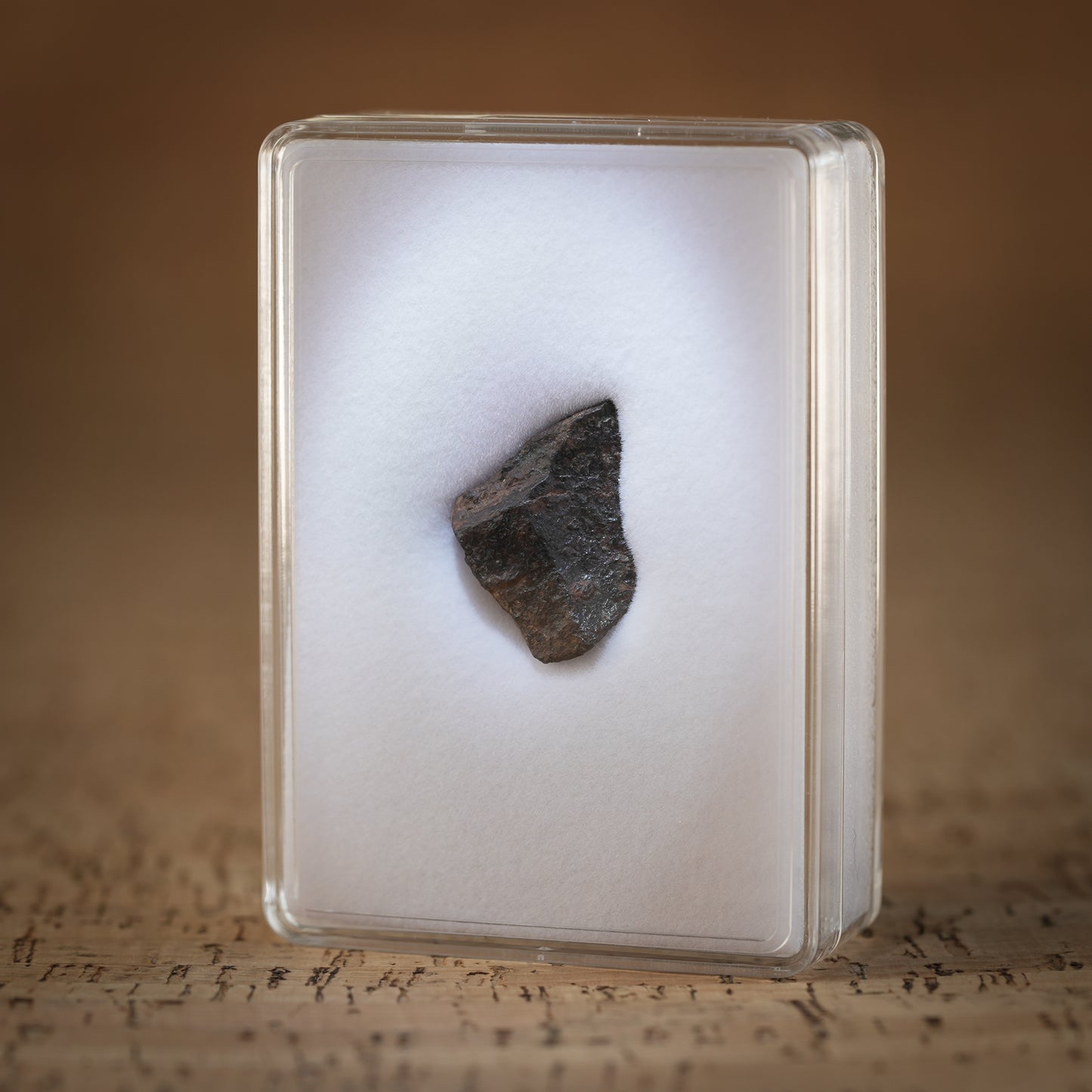 9.1g Gibeon Meteorite with Desert Patina, Namibia, Africa. Includes Collectors Display Box with COA.