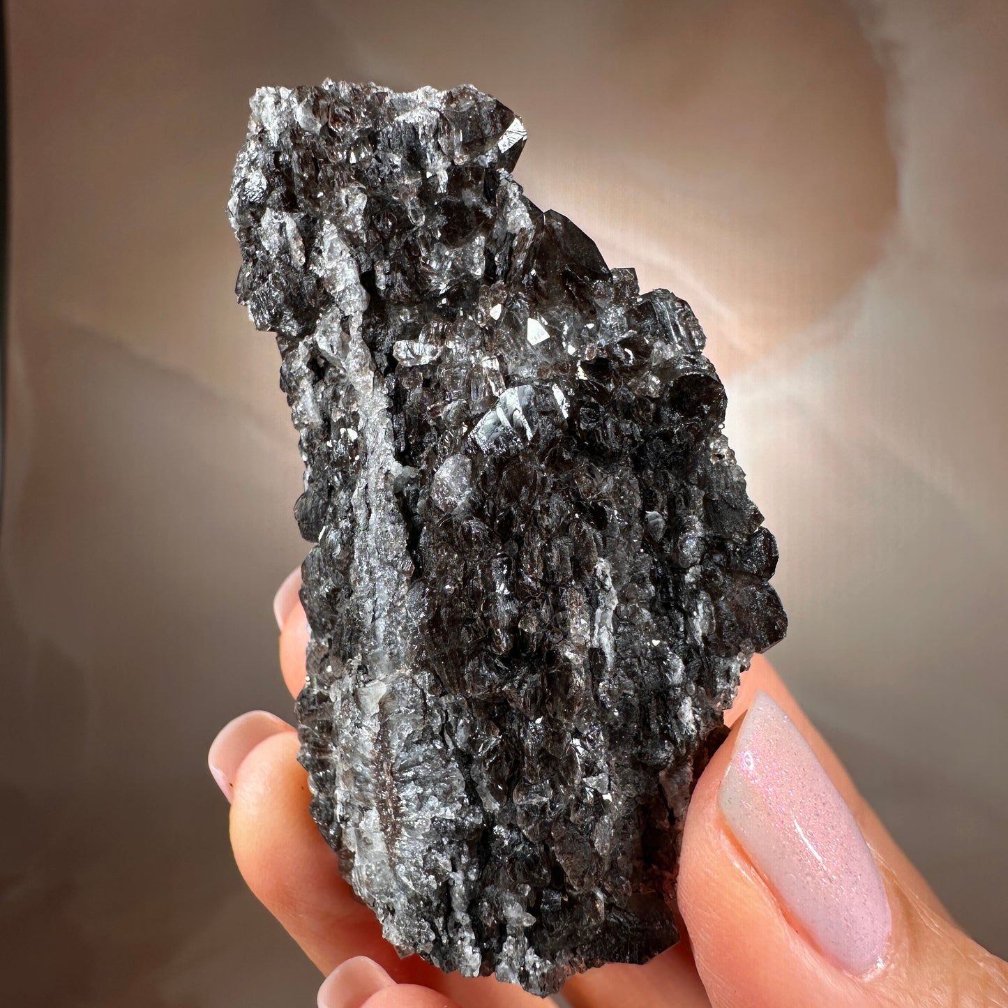 Crystallized Fossil Wood with Smoky Quartz Druzy, 50g — Arizona