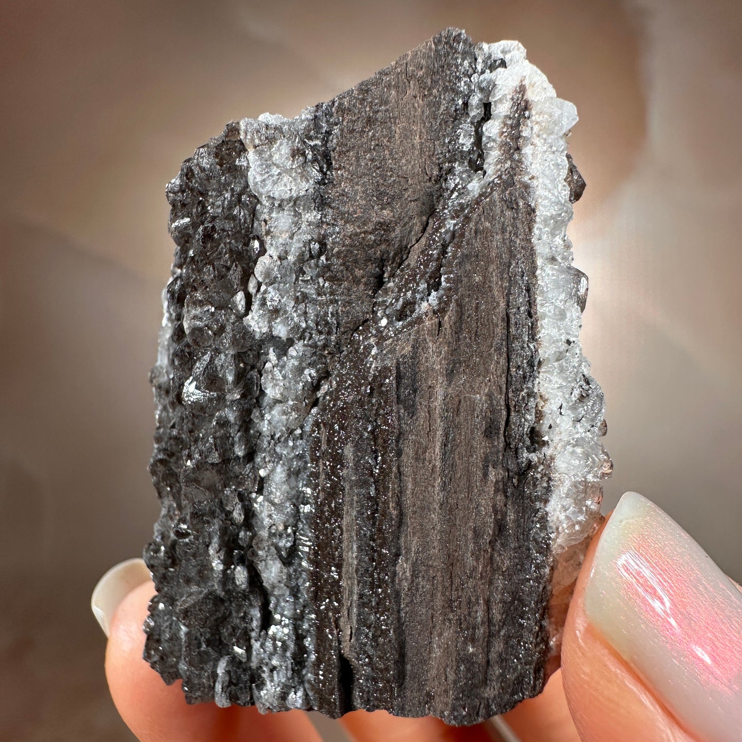 Crystallized Fossil Wood with Smoky Quartz Druzy, 42g | Arizona