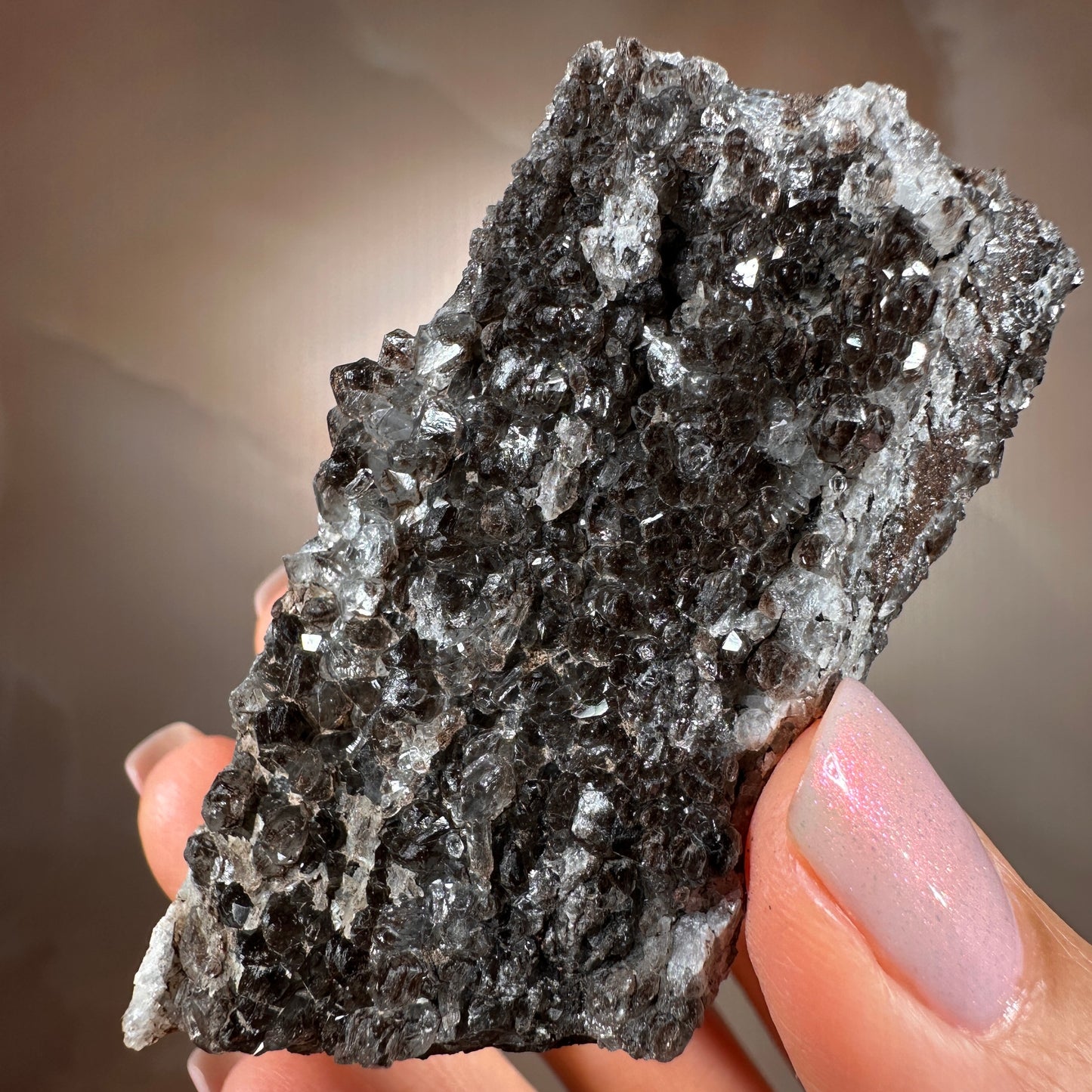 Crystallized Fossil Wood with Smoky Quartz Druzy, 117g — Arizona