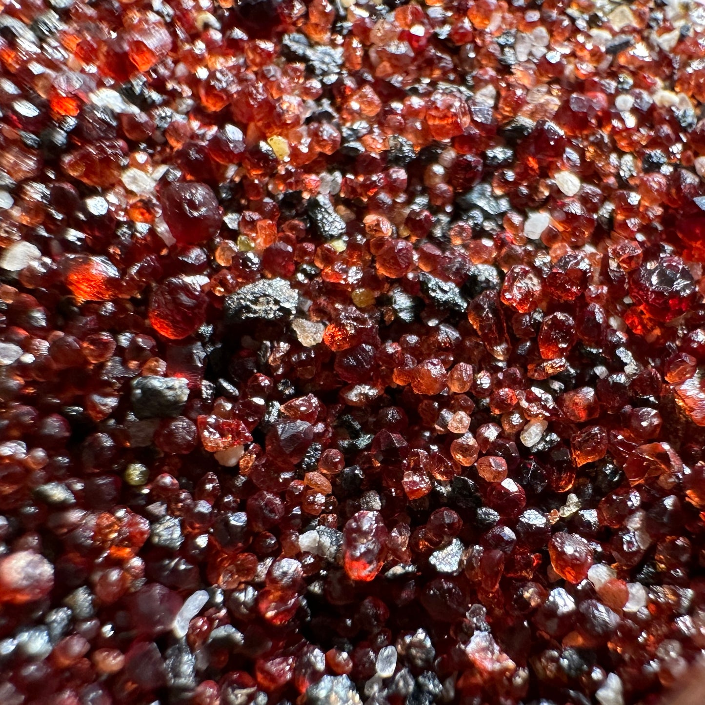 Micro Garnet Crystals “Sand Rubies” 20g — Sabino Canyon, Tucson, Arizona