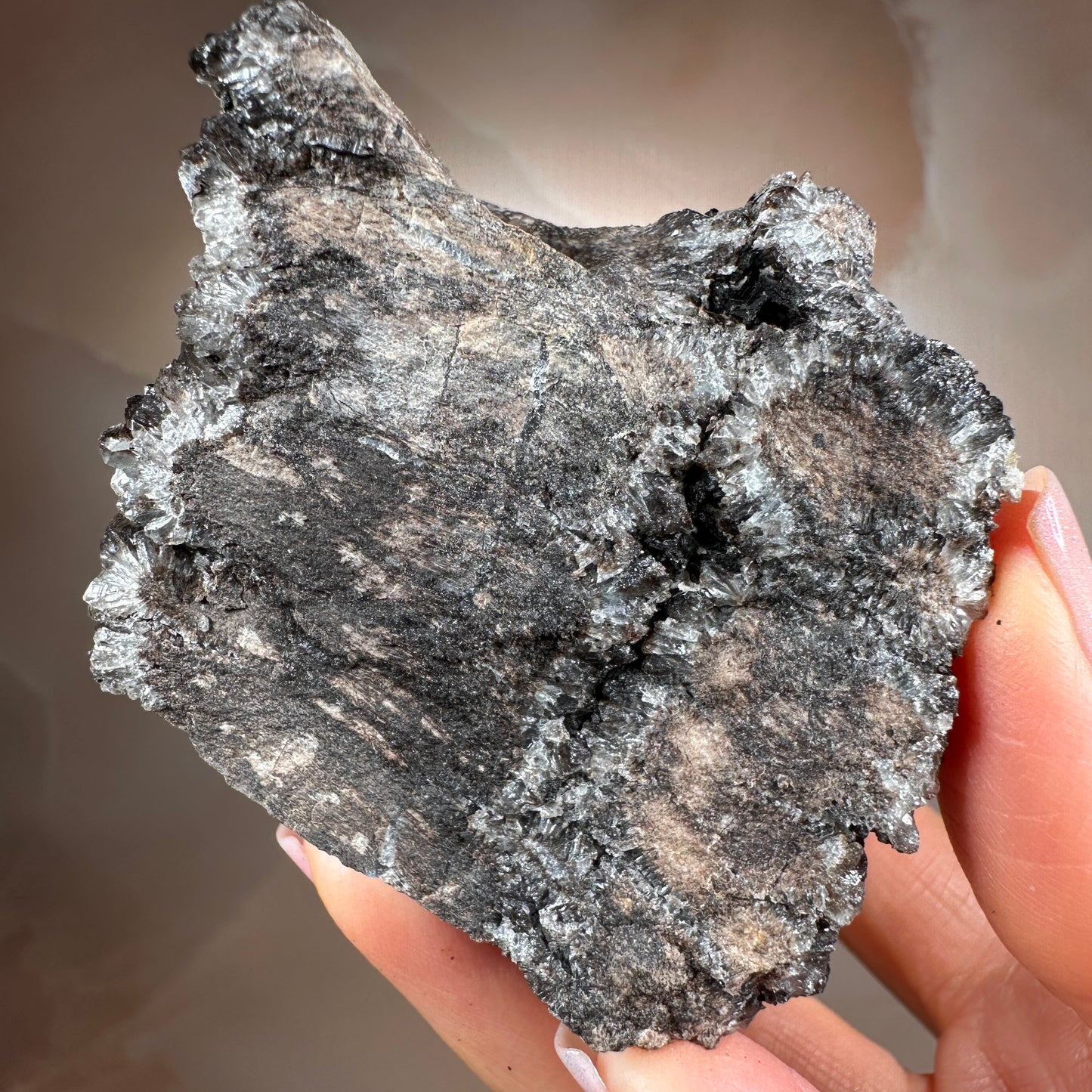 Crystallized Fossil Wood with Smoky Quartz Druzy, 383g — Arizona