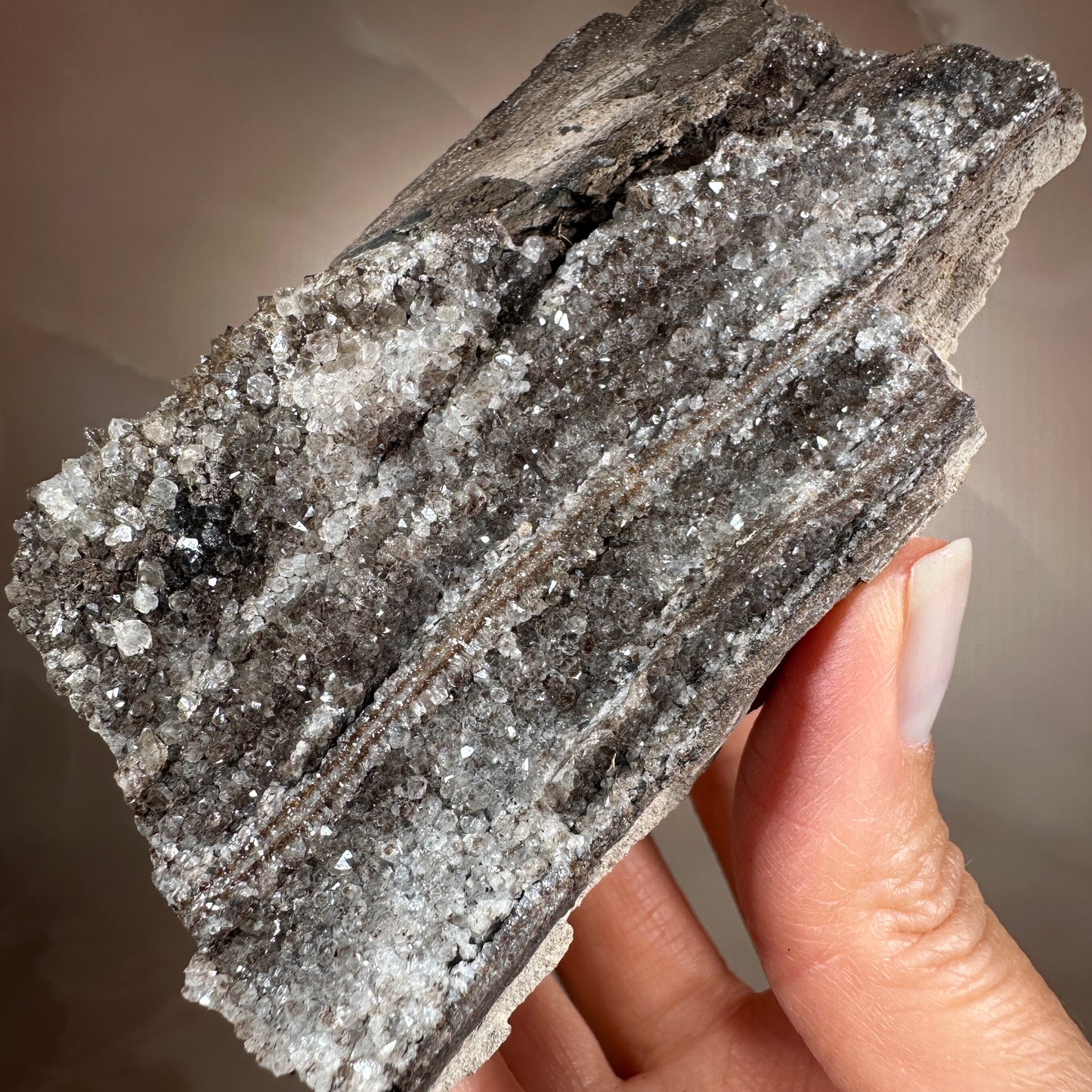 Crystallized Fossil Wood with Smoky Quartz Druzy, 335g | Arizona