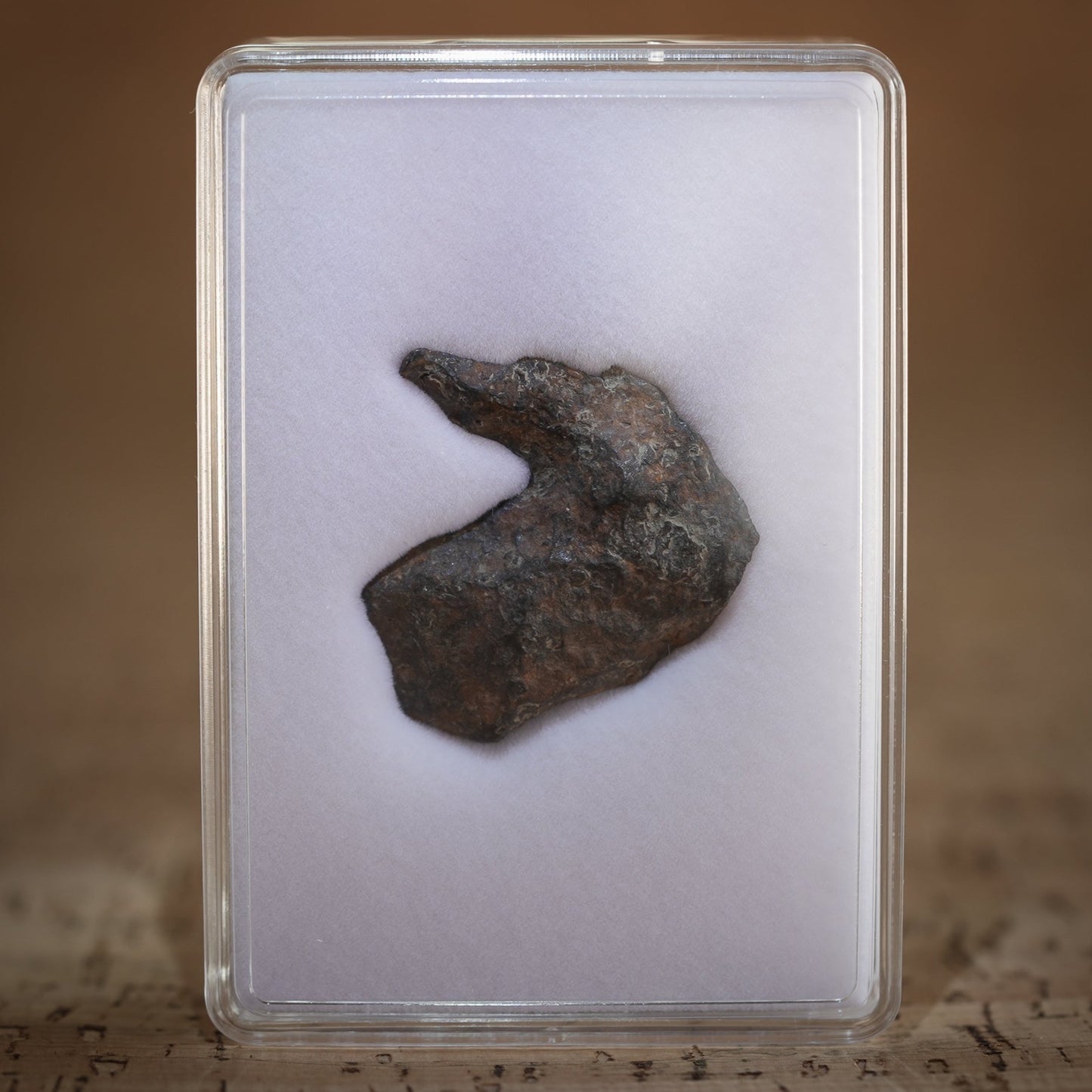 Rare Gibeon Meteorite from Namibia.