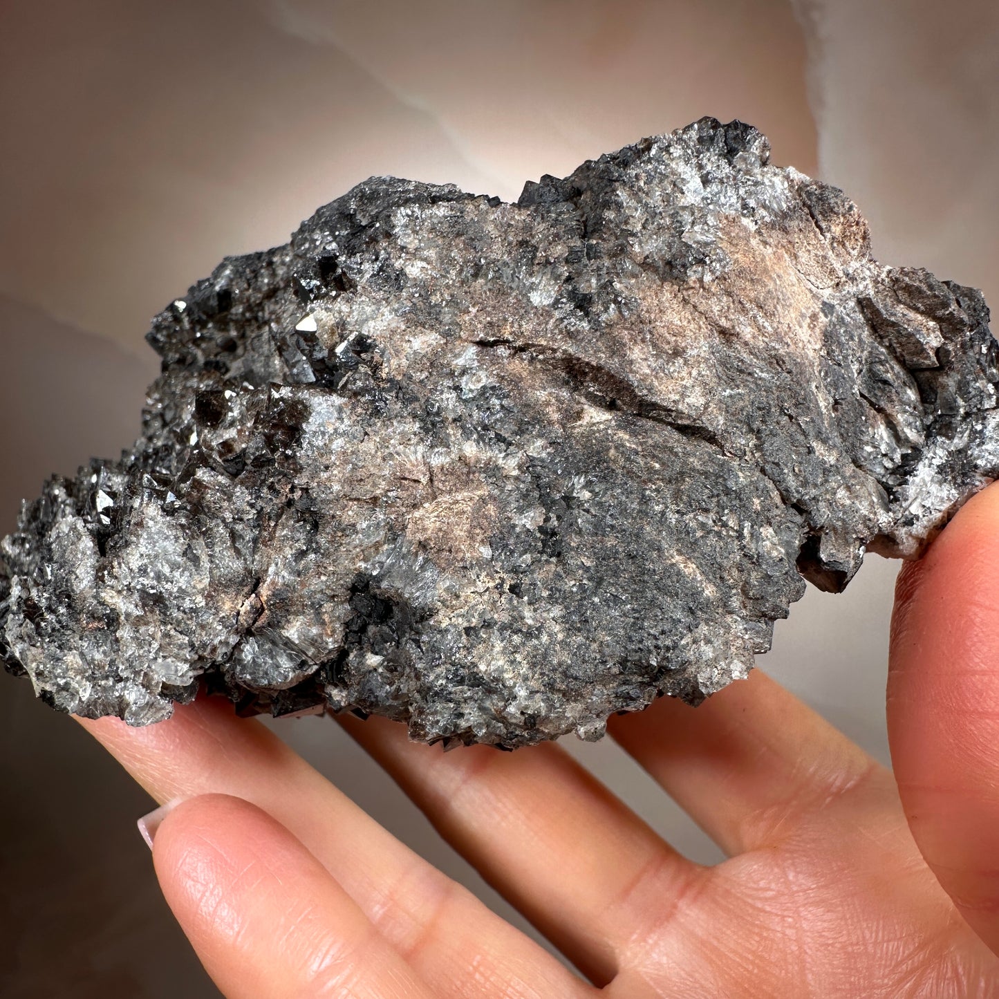 Crystallized Fossil Wood with Smoky Quartz Druzy, 347g — Arizona