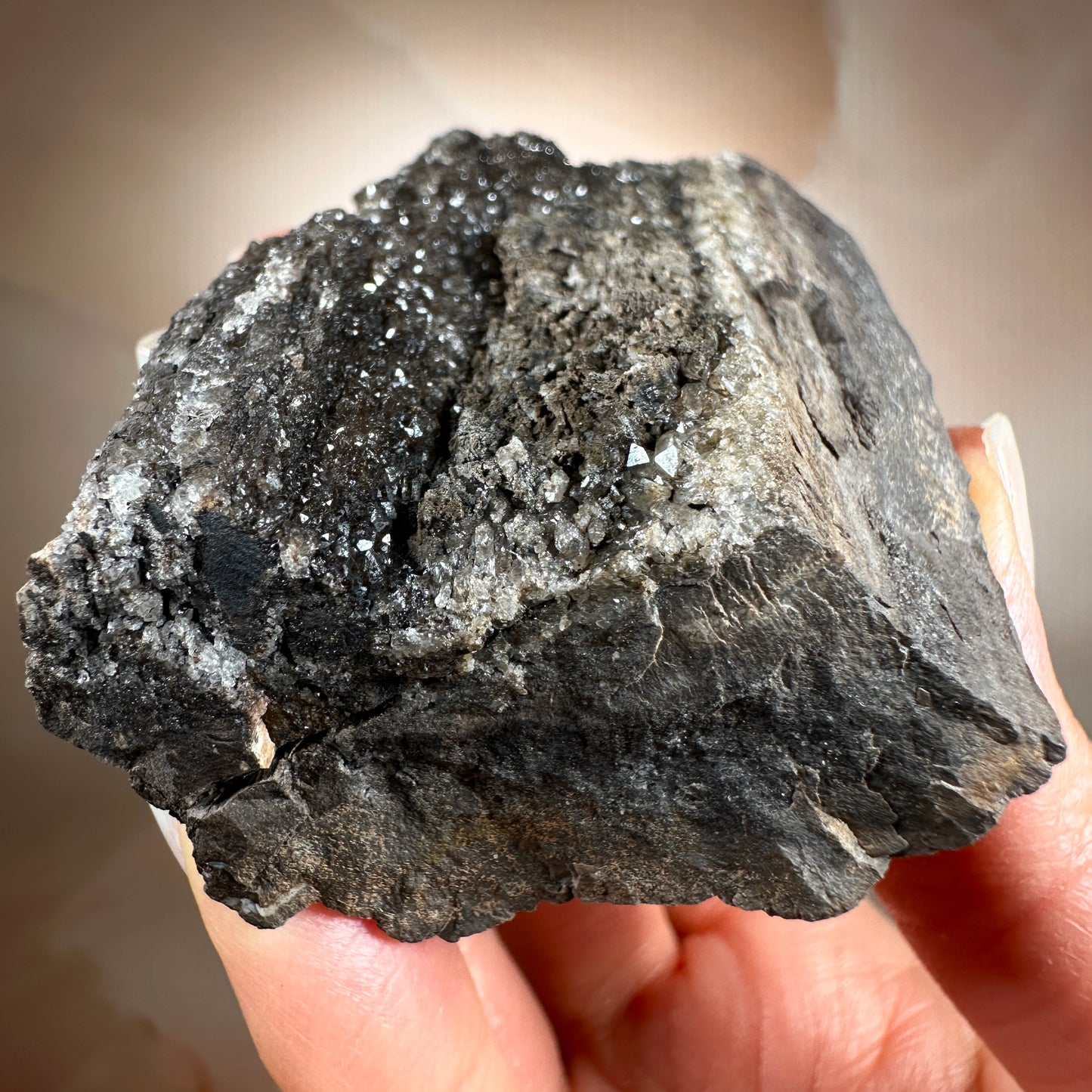 Crystallized Fossil Wood with Smoky Quartz Druzy, 177g | Arizona