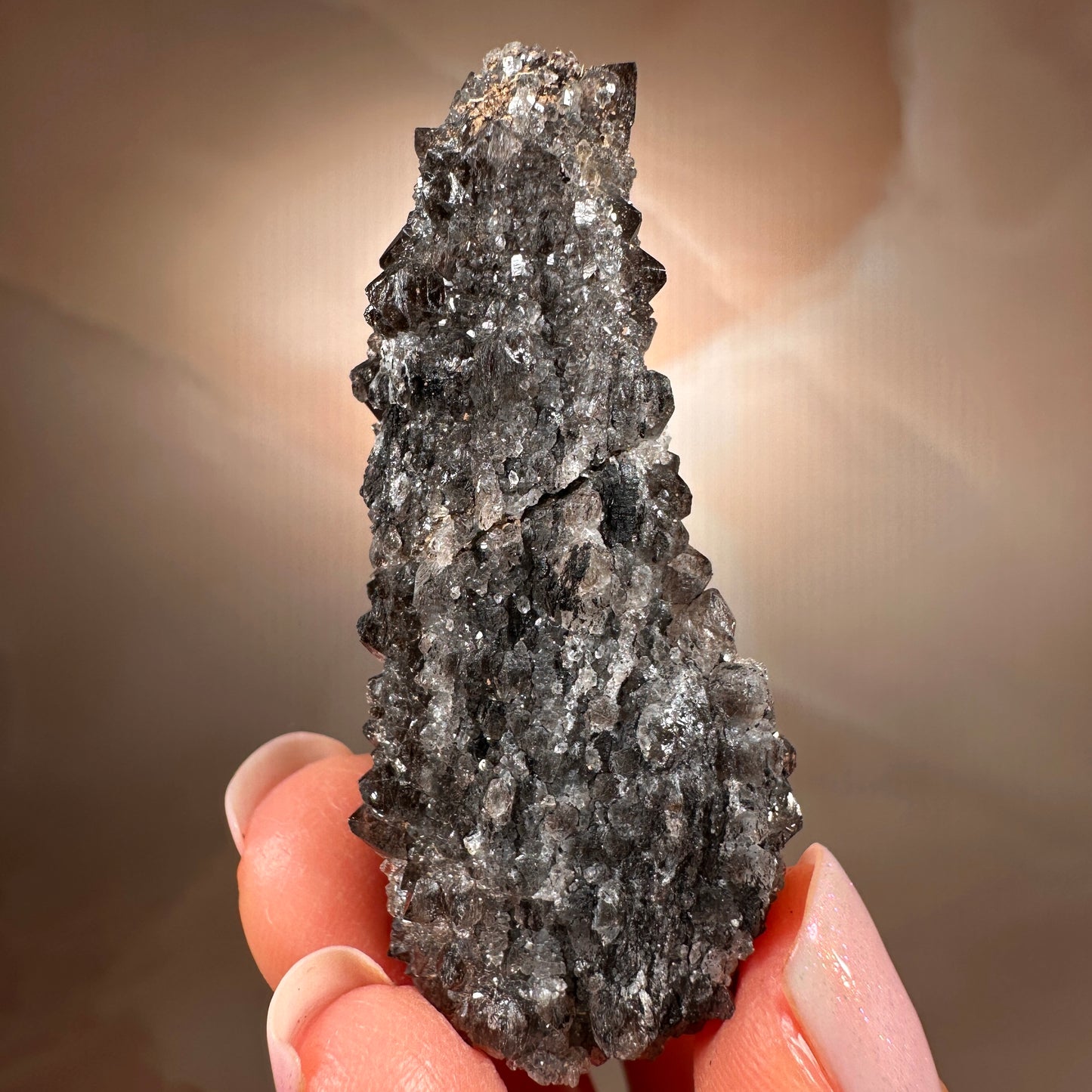 Crystallized Fossil Wood with Smoky Quartz Druzy, 18g — Arizona