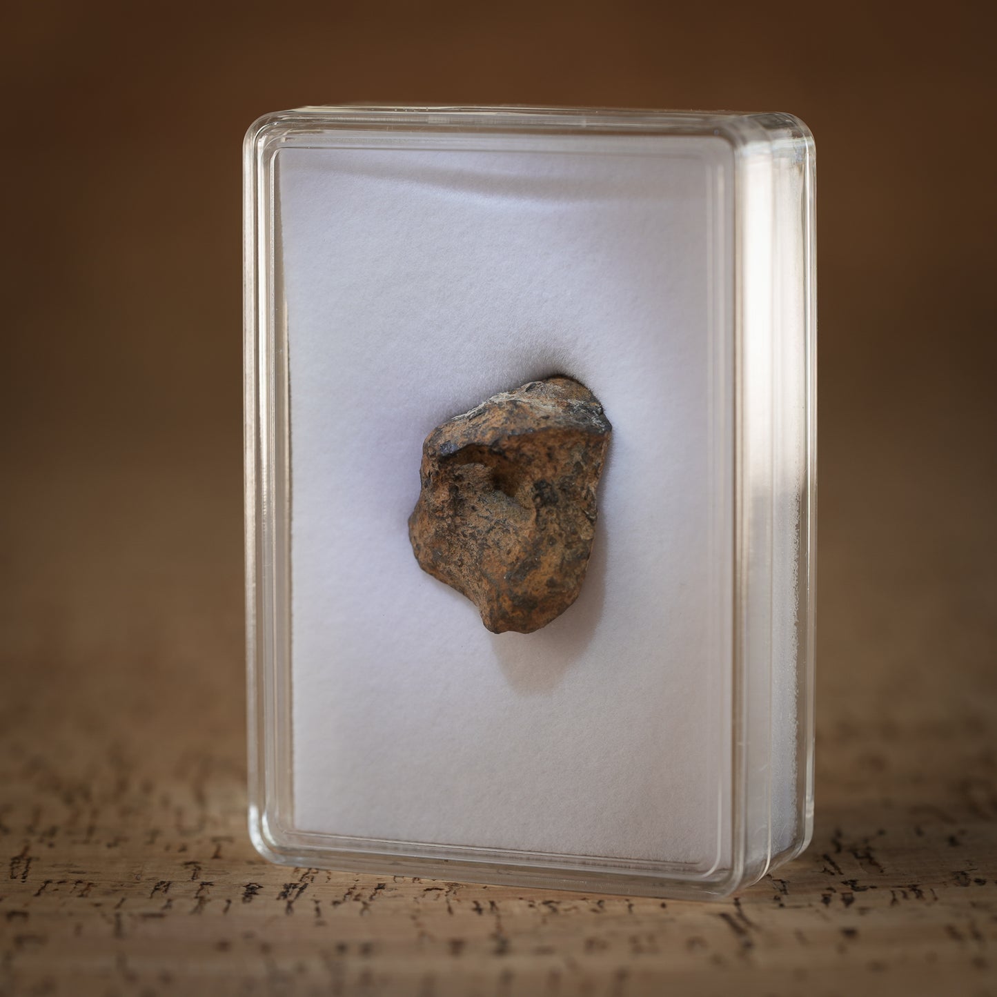 23.9g Gibeon Meteorite with Desert Patina, Namibia, Africa. Includes Collectors Display Box with COA.