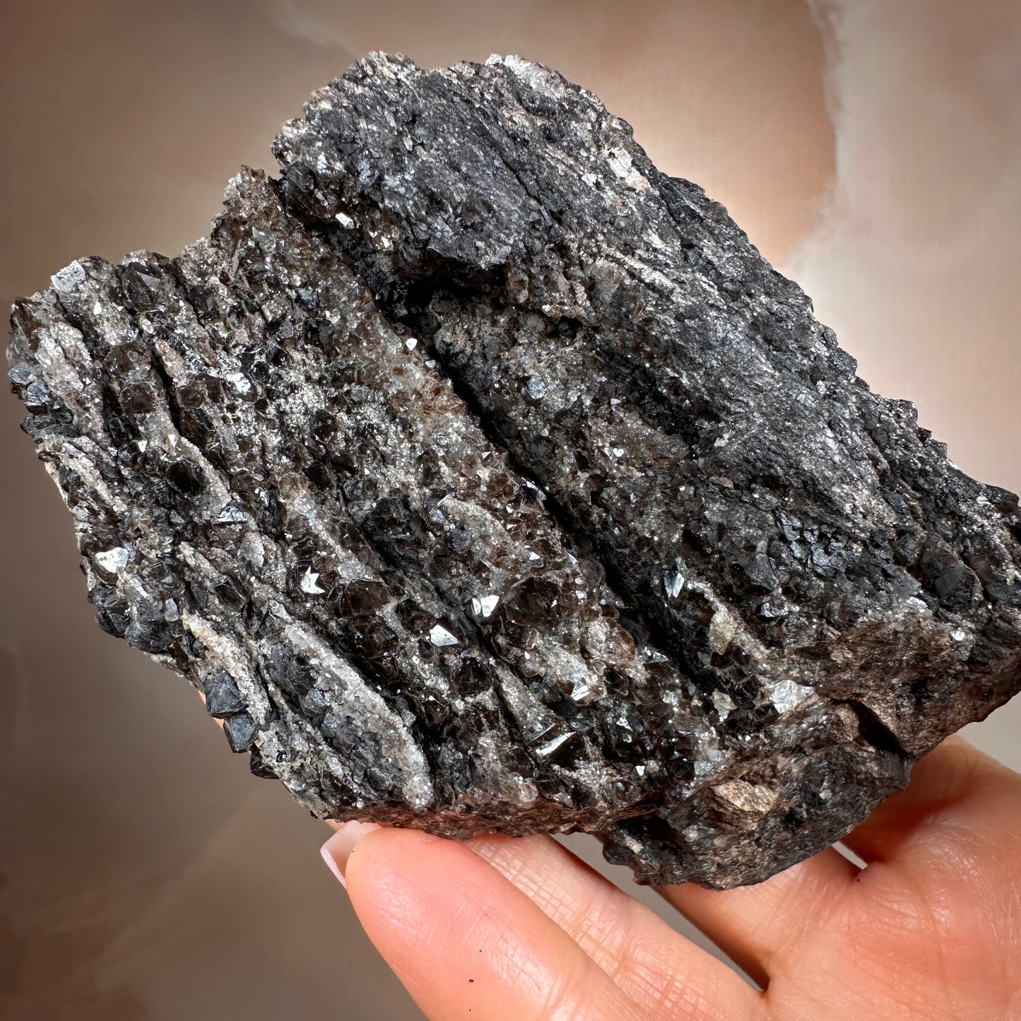 Crystallized Fossil Wood with Smoky Quartz Druzy, 347g — Arizona