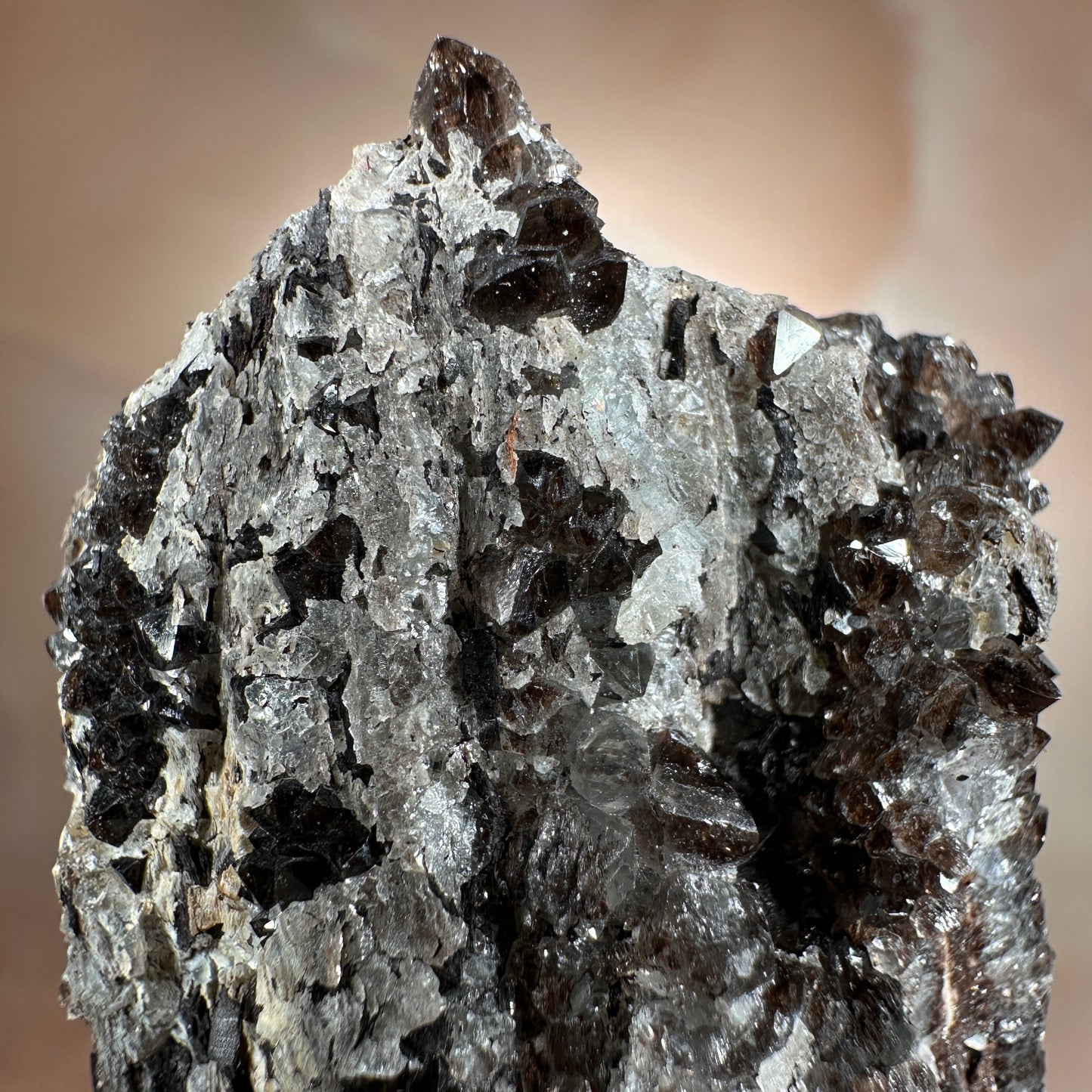Crystallized Fossil Wood with Smoky Quartz Druzy, 59g — Arizona