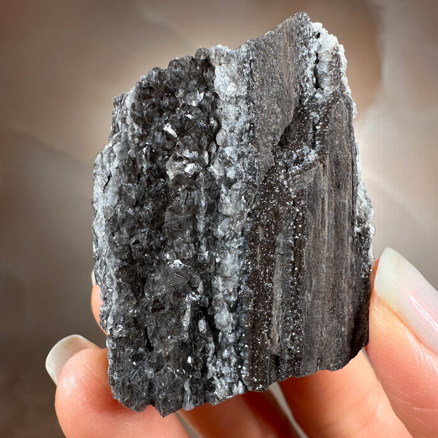 Crystallized Fossil Wood with Smoky Quartz Druzy, 42g | Arizona