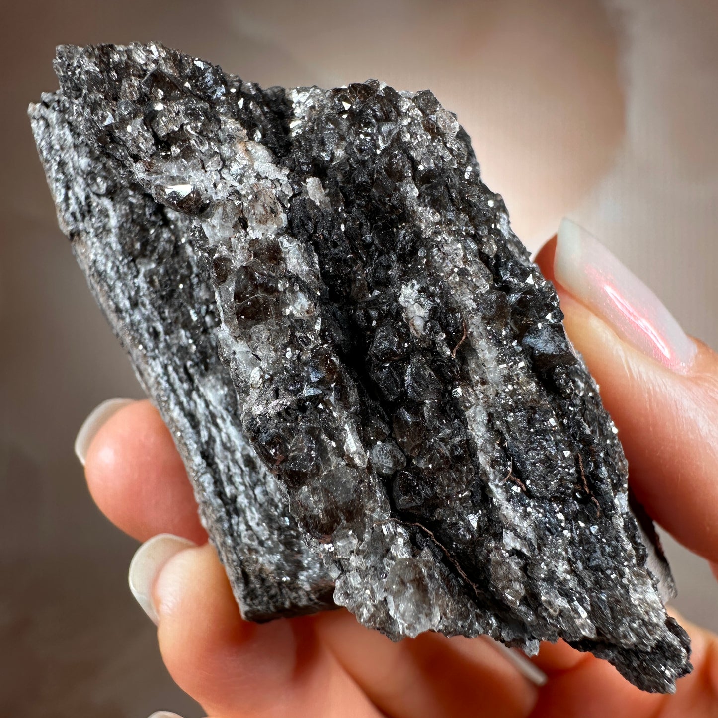 Crystallized Fossil Wood with Smoky Quartz Druzy, 85g | Arizona