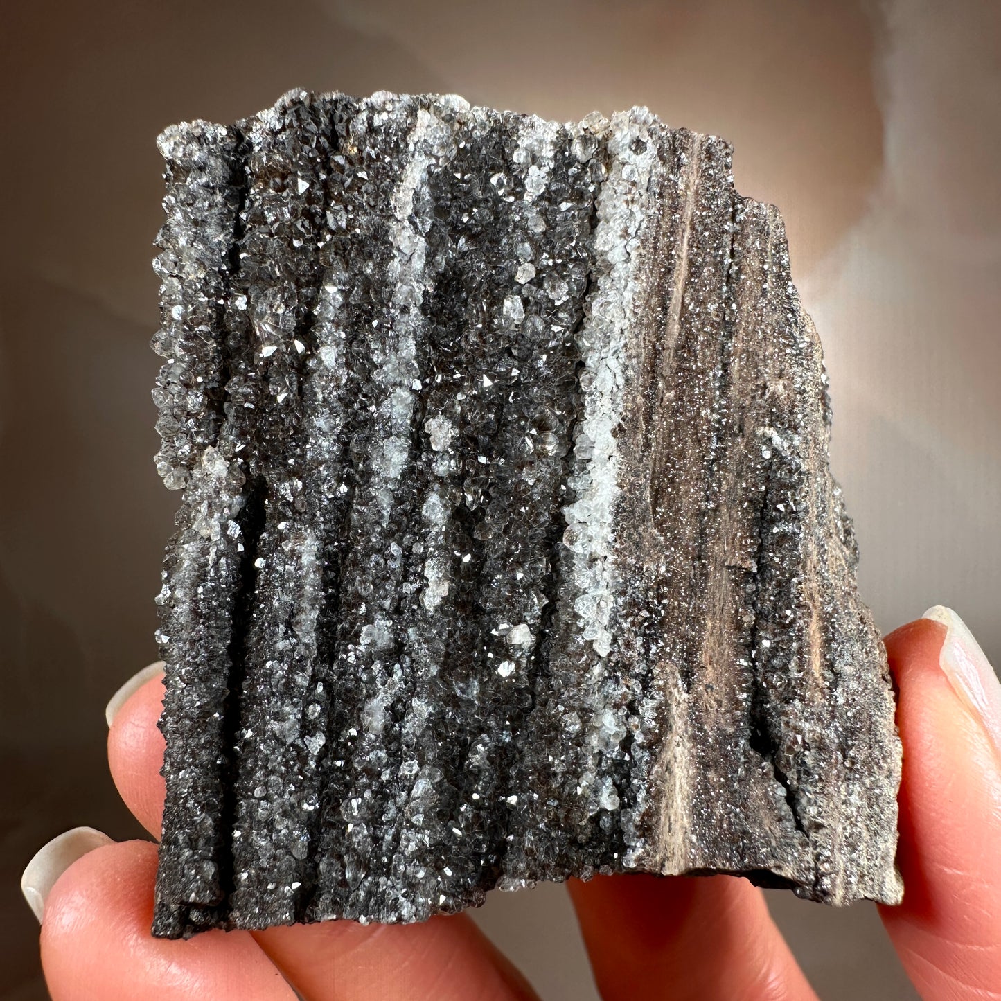 Crystallized Fossil Wood with Smoky Quartz Druzy, 86g | Arizona