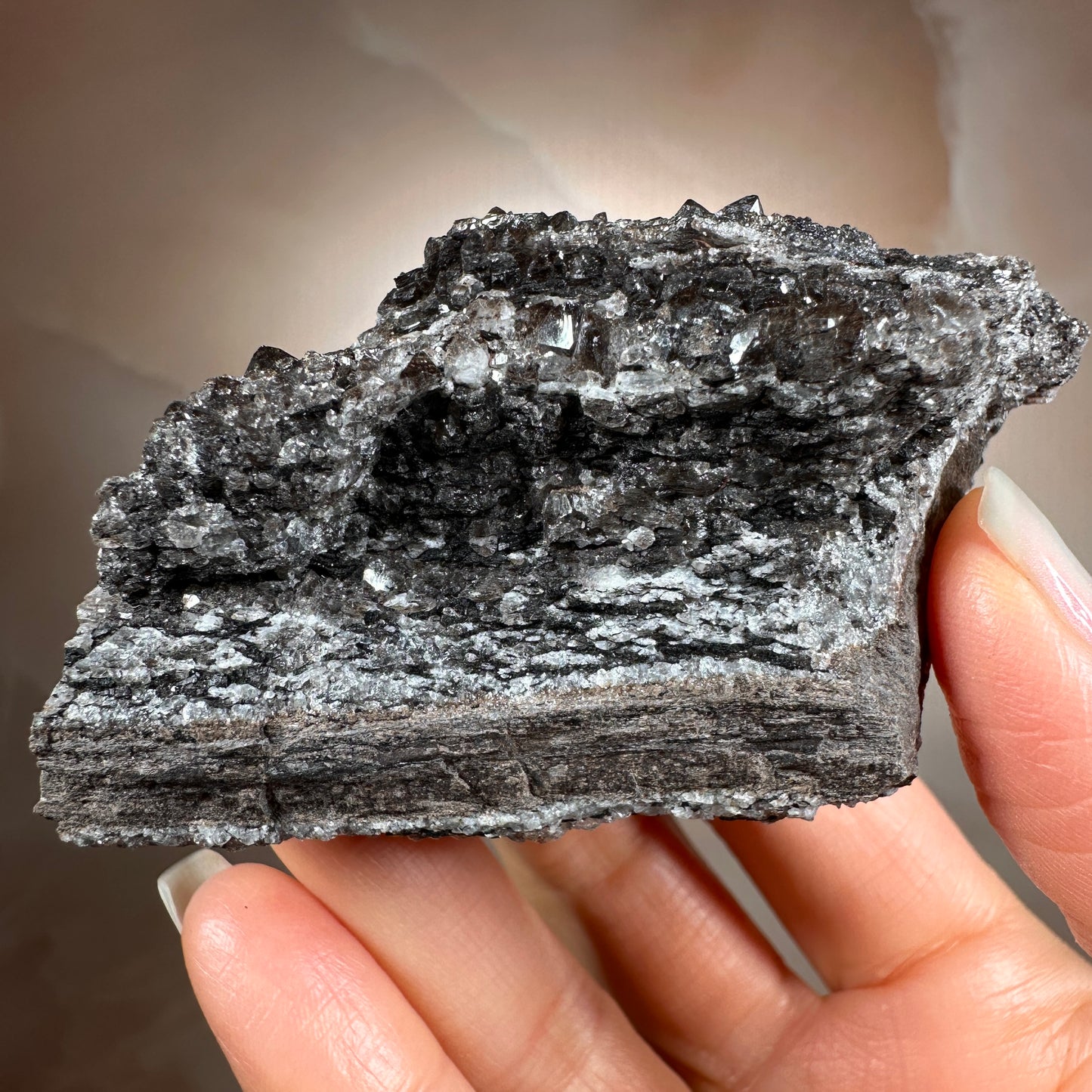 Crystallized Fossil Wood with Smoky Quartz Druzy, 85g | Arizona