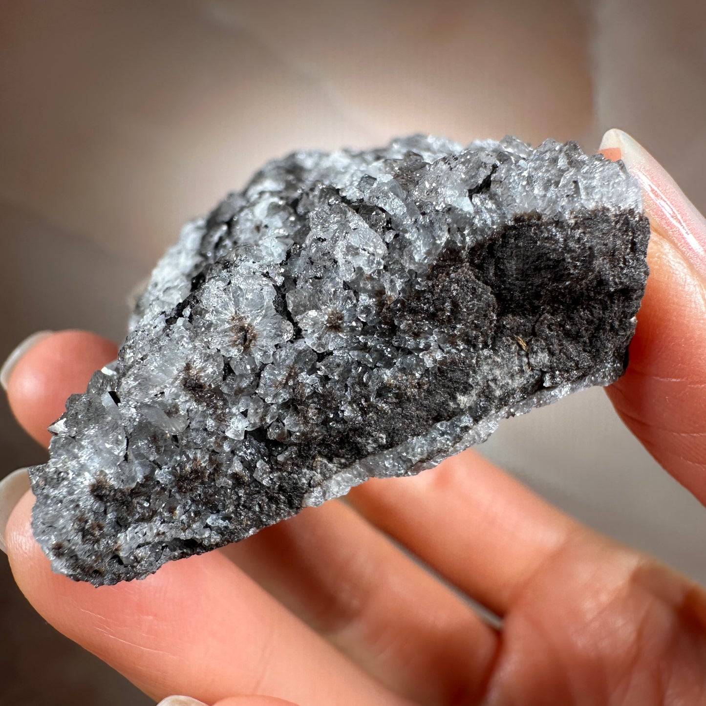 Crystallized Fossil Wood with Silver Smoky Quartz Druzy, 96g | Arizona