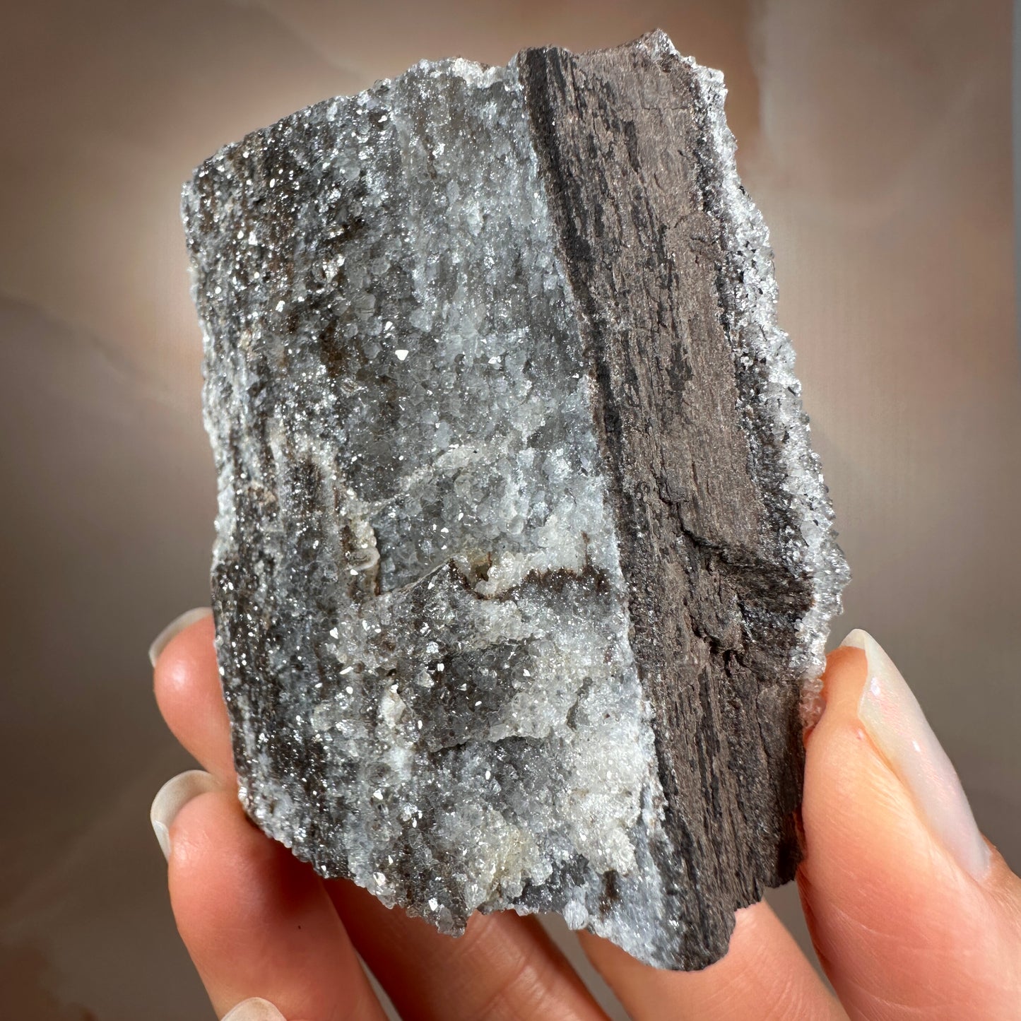 Crystallized Fossil Wood with Silver Smoky Quartz Druzy, 104g | Arizona