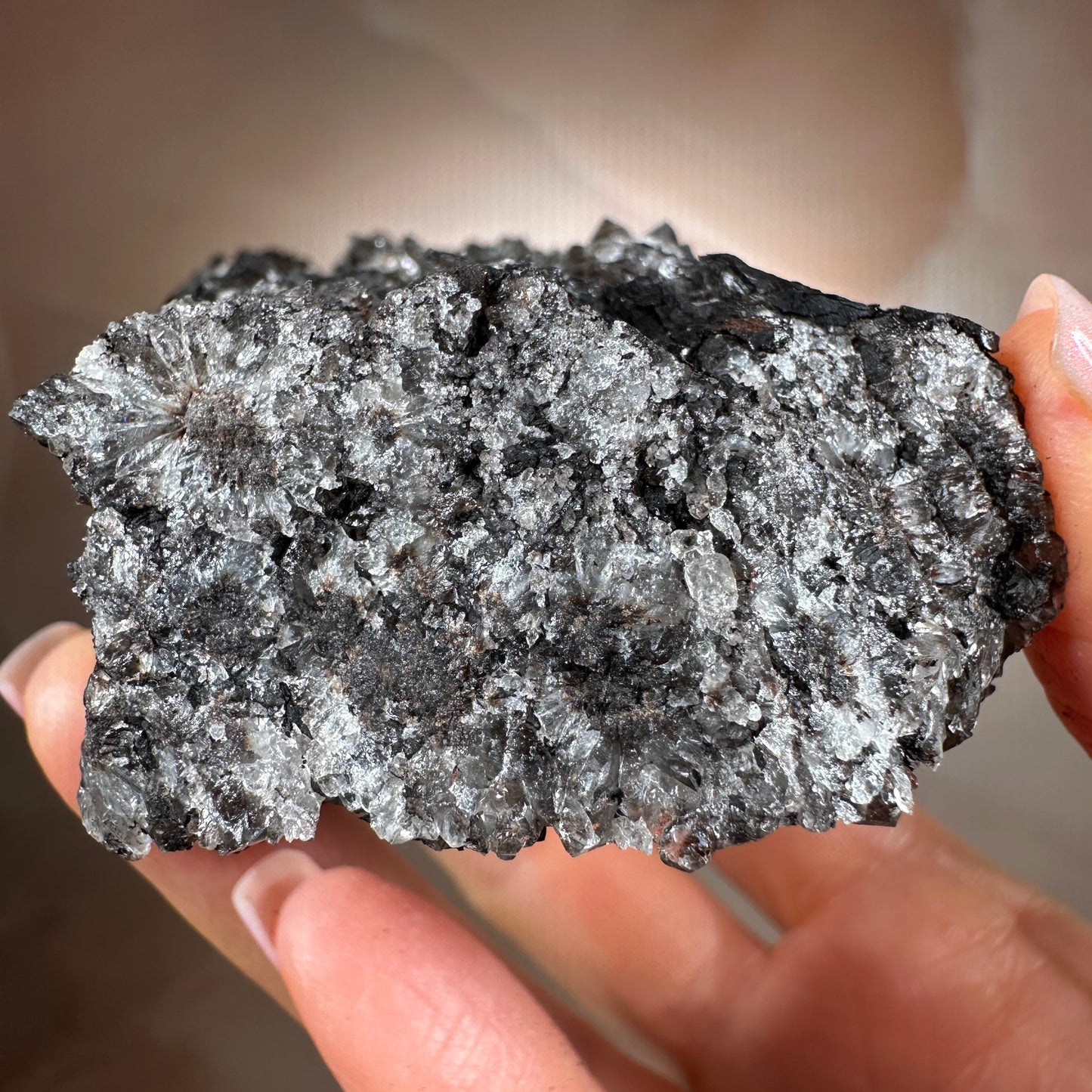 Crystallized Fossil Wood with Smoky Quartz Druzy, 268g — Arizona