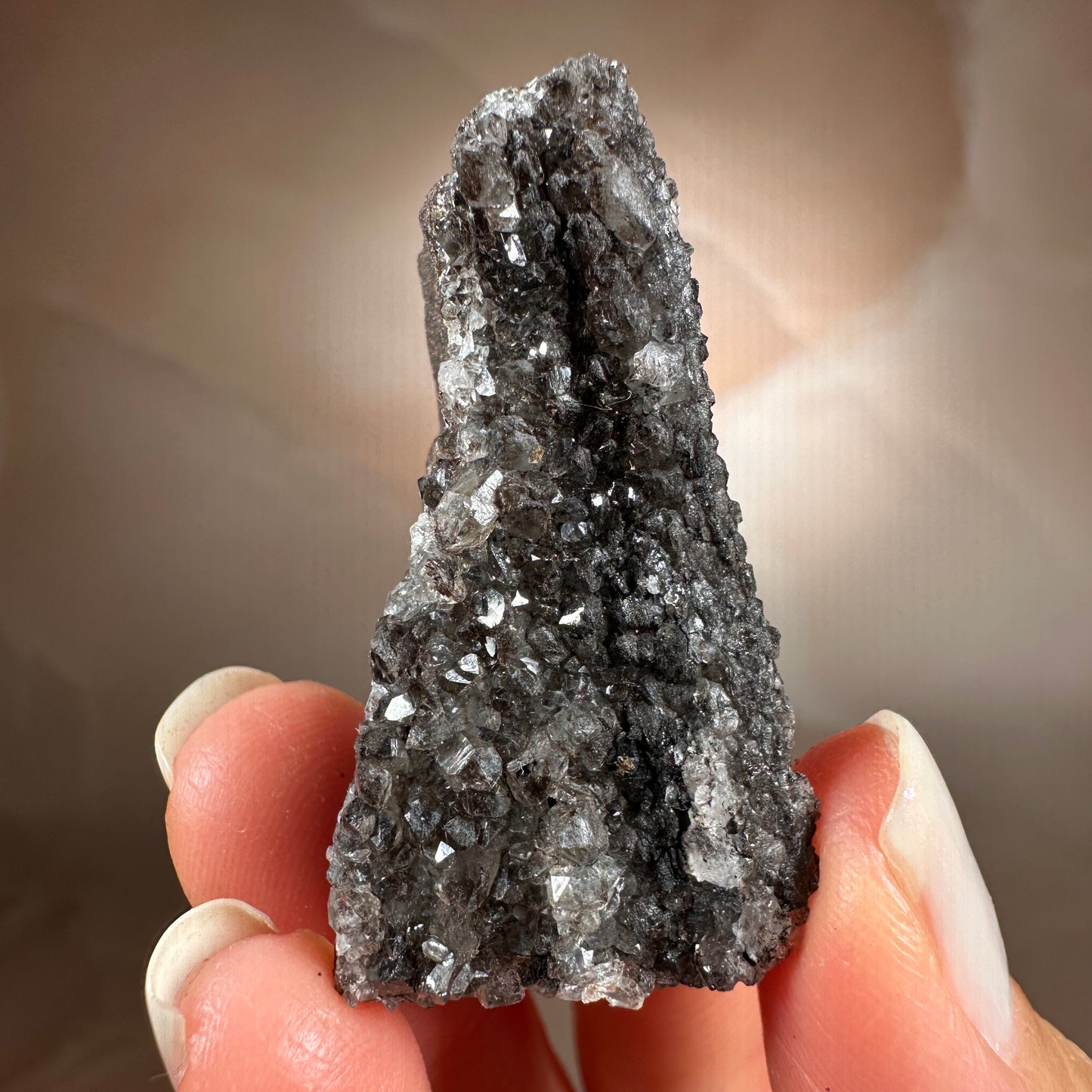 Crystallized Fossil Wood, 18g, Smoky Quartz Druzy on Petrified Wood from Arizona.