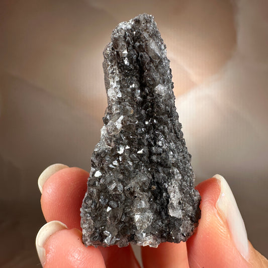 Crystallized Fossil Wood, 18g, Smoky Quartz Druzy on Petrified Wood from Arizona.