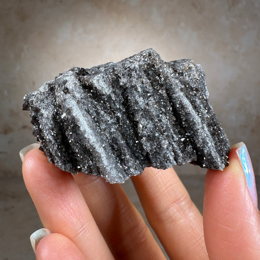 Rare Crystallized Fossil Wood, 80g, Smoky Quartz Druzy on Petrified Wood from Arizona.