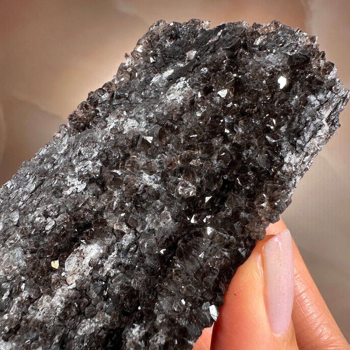 Crystallized Fossil Wood with Smoky Quartz Druzy, 268g — Arizona