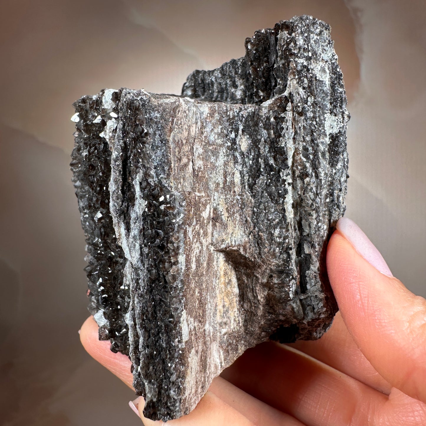 Crystallized Fossil Wood with Smoky Quartz Druzy, 383g — Arizona