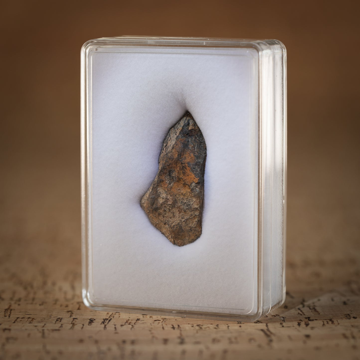 17.2g Gibeon Meteorite with Desert Patina, Namibia, Africa. Includes Collectors Display Box with COA.