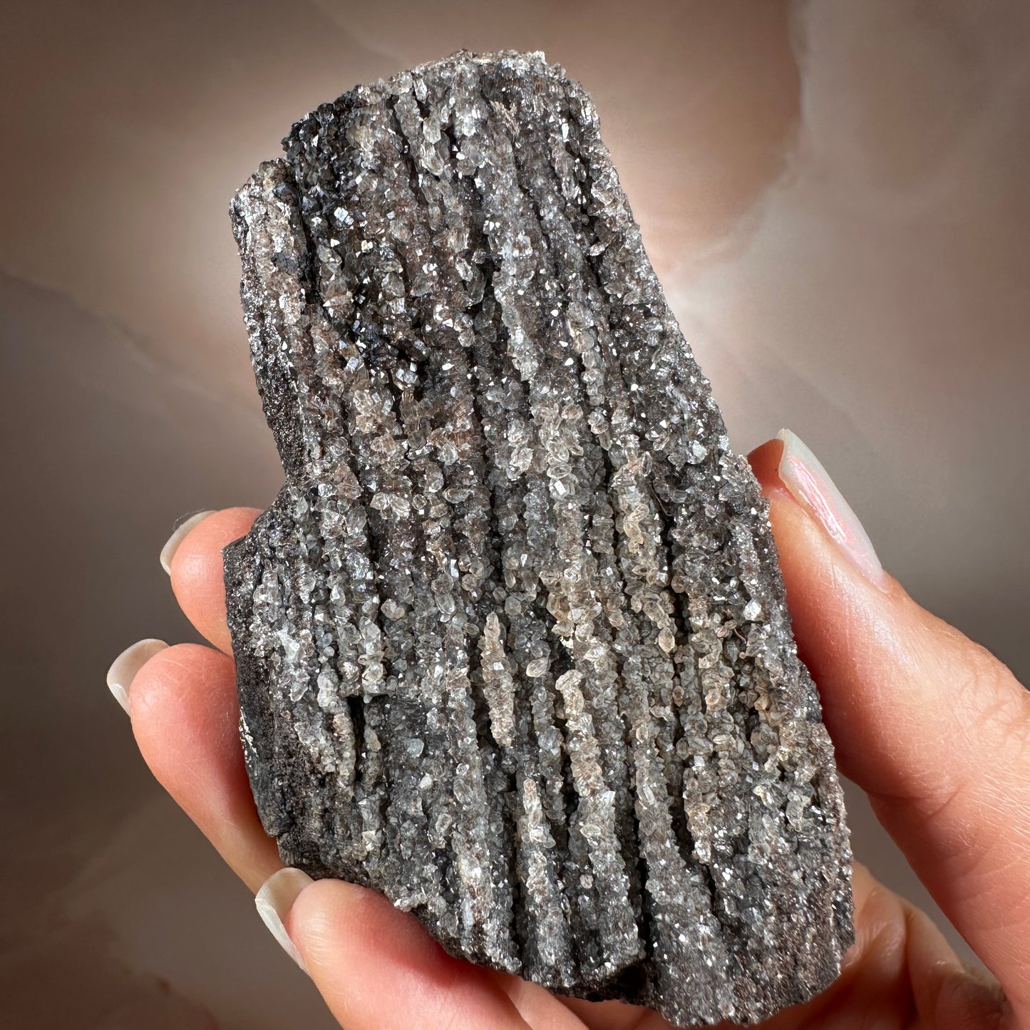 Crystallized Fossil Wood with Smoky Quartz Druzy, 115g | Arizona