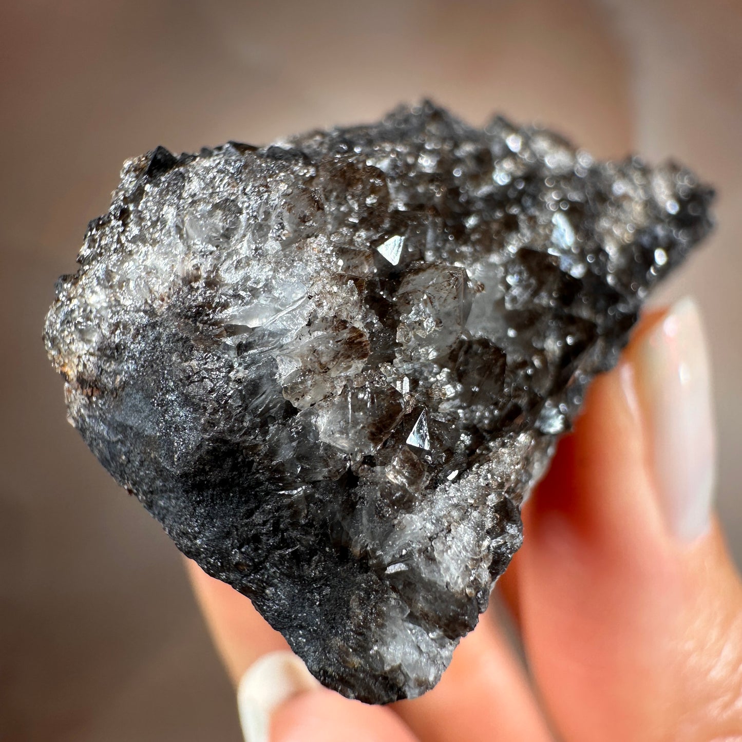 Crystallized Fossil Wood with Smoky Quartz Druzy, 58g | Arizona