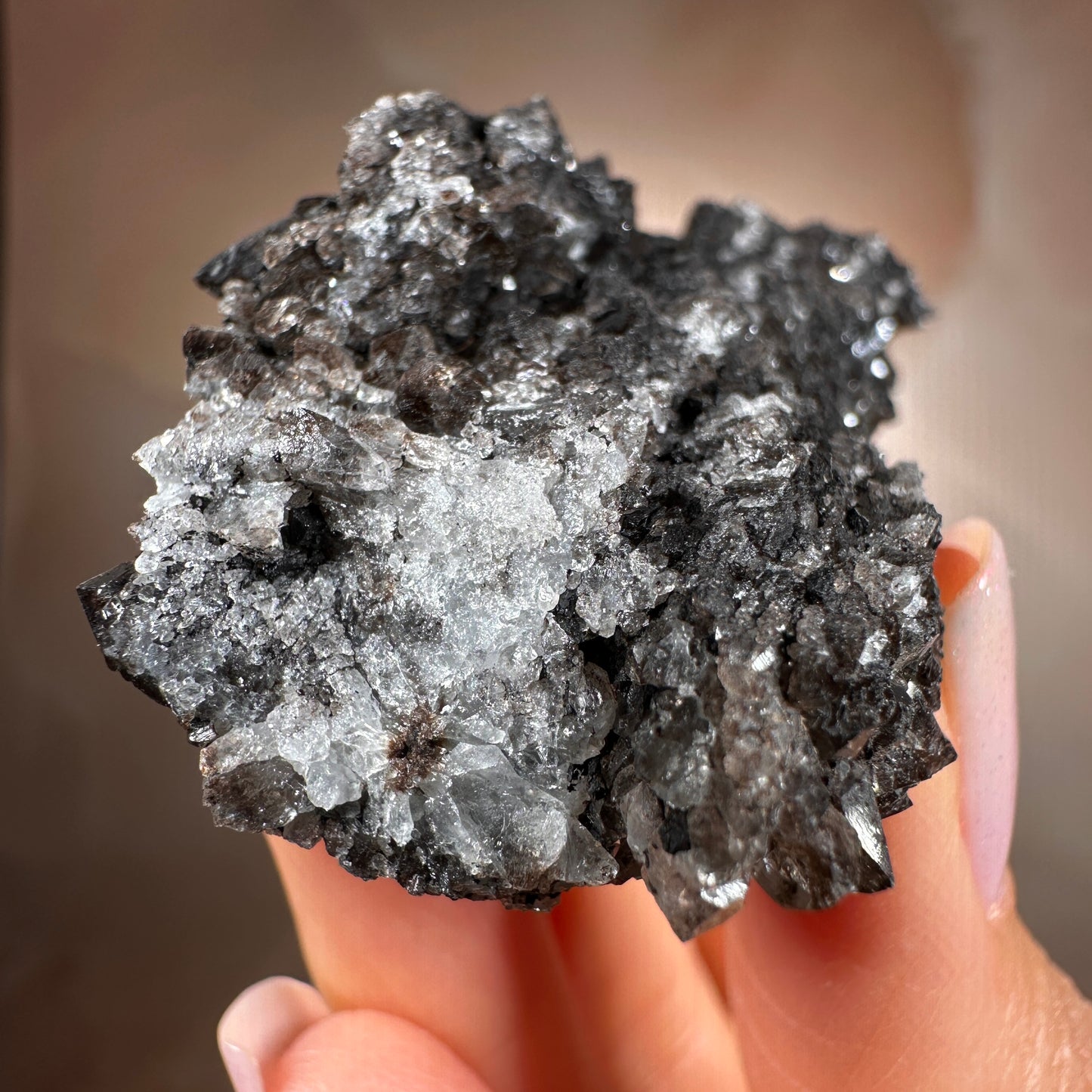 Crystallized Fossil Wood with Smoky Quartz Druzy, 50g — Arizona