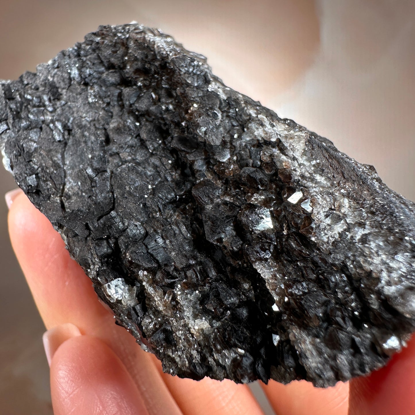 Crystallized Fossil Wood with Smoky Quartz Druzy, 137g — Arizona