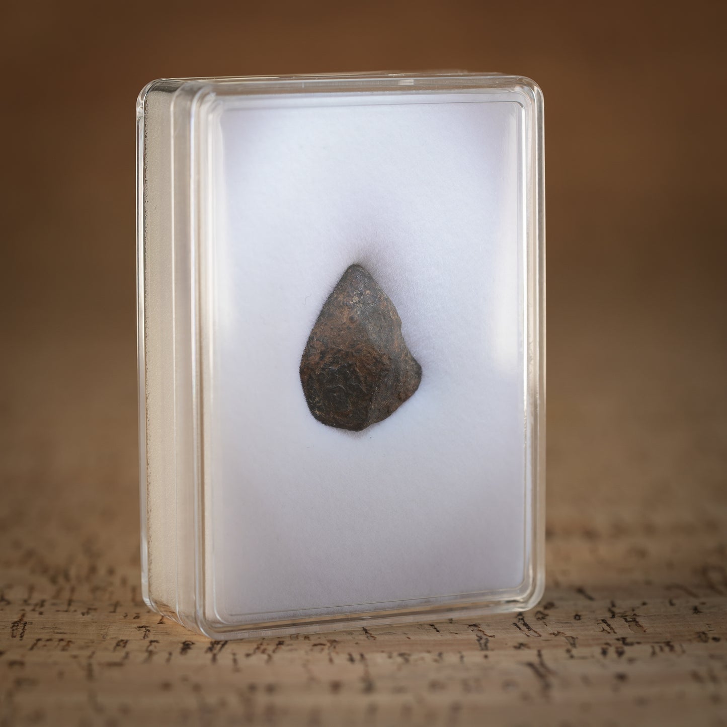 14.8g Gibeon Meteorite with Desert Patina, Namibia, Africa. Includes Collectors Display Box with COA.