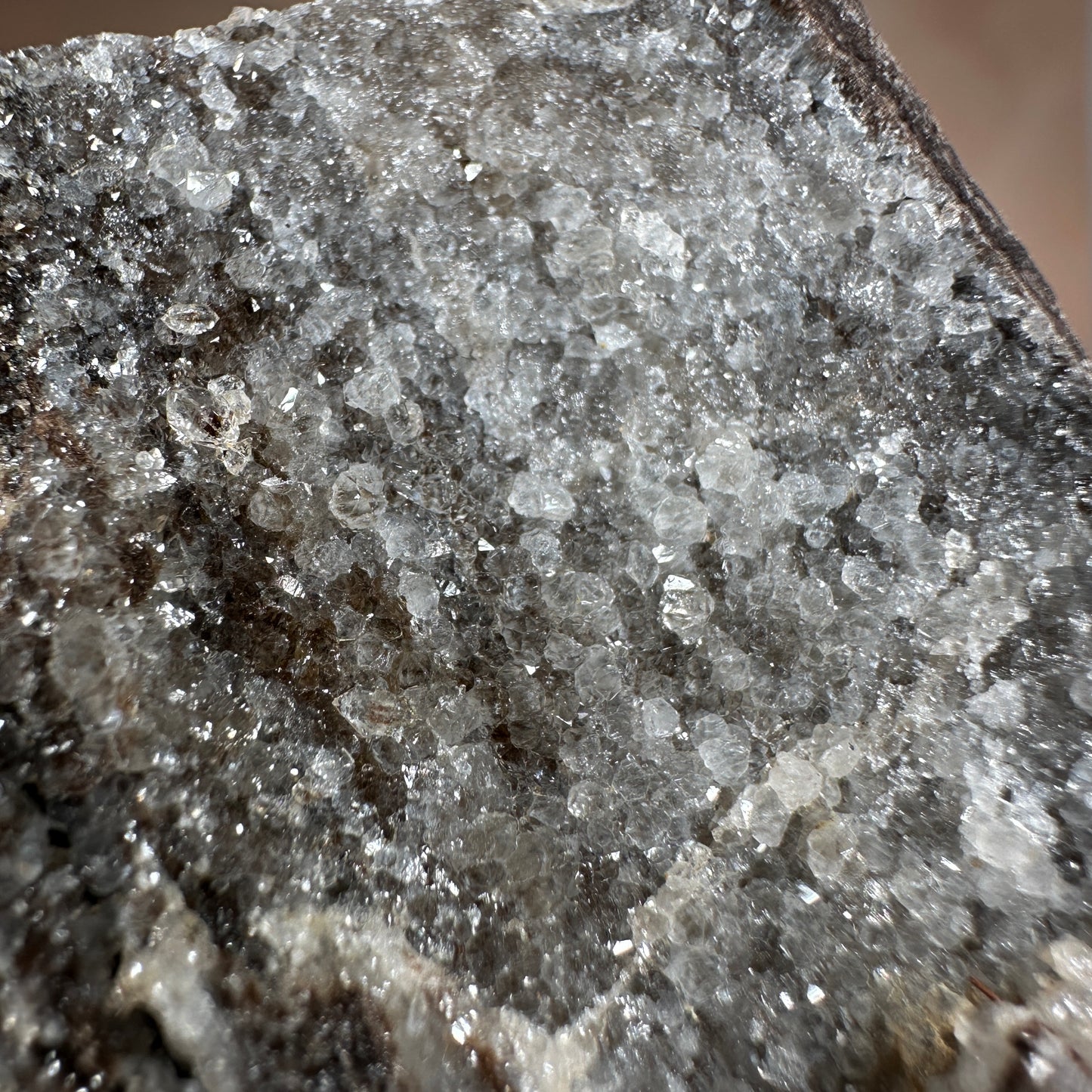 Crystallized Fossil Wood with Silver Smoky Quartz Druzy, 104g | Arizona