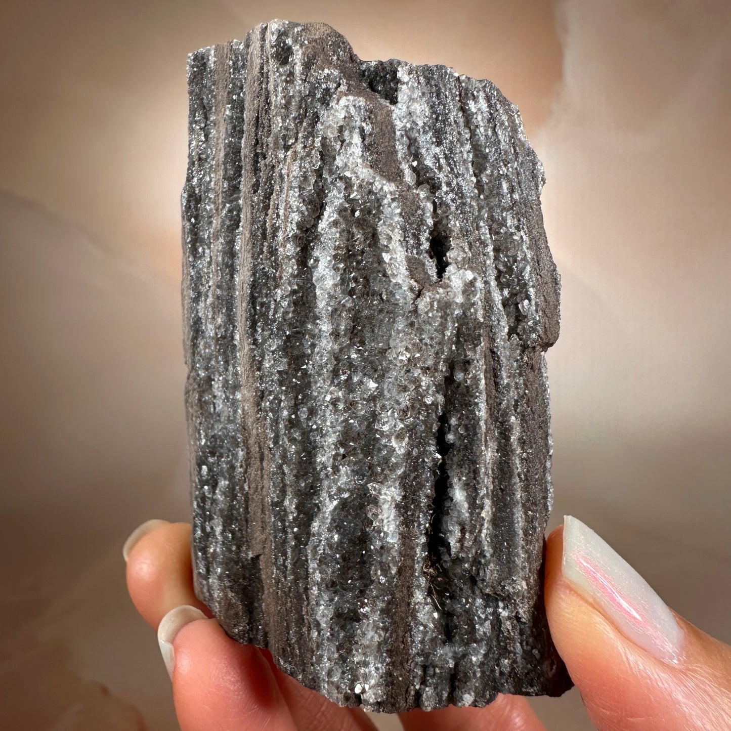 Crystallized Fossil Wood with Smoky Quartz Druzy, 135g | Arizona