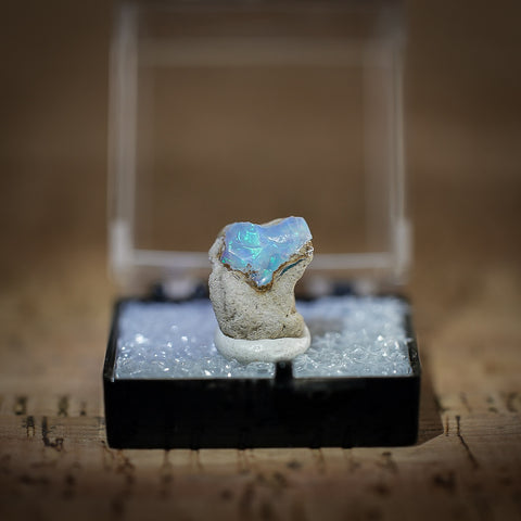 Ethiopian Opal in Collectors Box, Kok Weha Mine, Ethiopia, 5ct