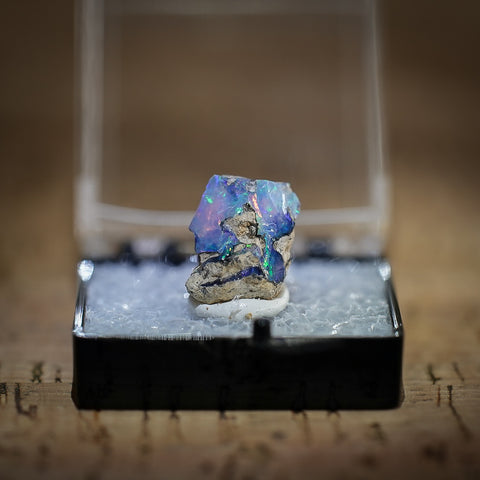 Ethiopian Opal in Collectors Box, Kok Weha Mine, Ethiopia, 4.5ct