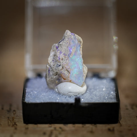 Ethiopian Opal in Collectors Box, Kok Weha Mine, Ethiopia, 8.5ct