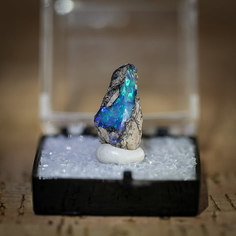 Ethiopian Opal in Collectors Box, Kok Weha Mine, Ethiopia, 6ct
