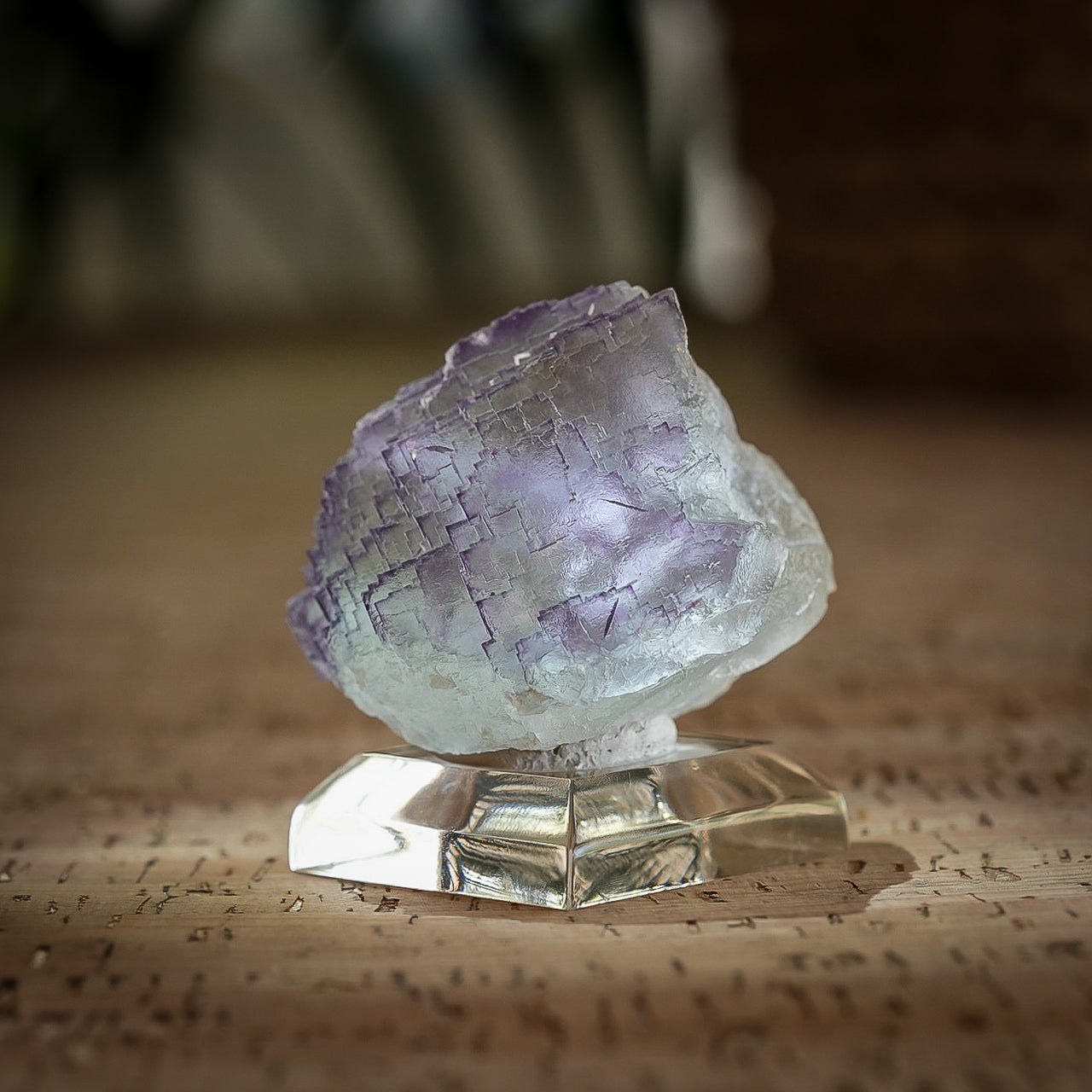 Ice Cream Igloo Fluorite, Blanchard Mine, Bingham, New Mexico, 120g