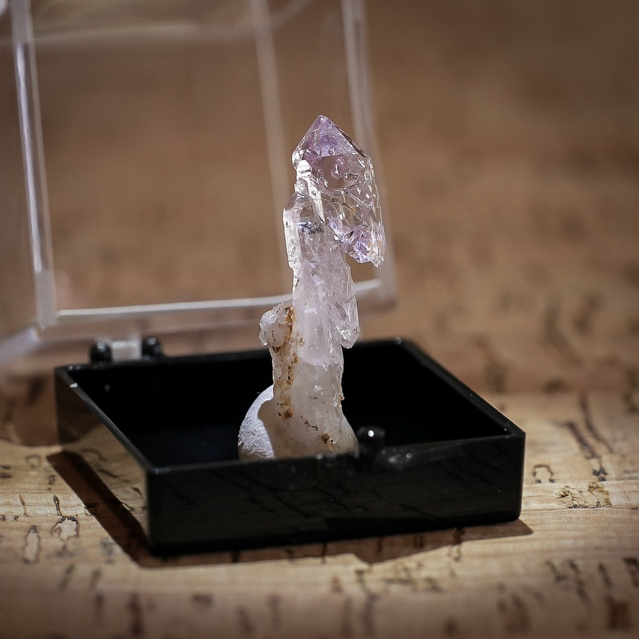 Quartz var. Amethyst, Scepter Hill, Oro Blanco Mountains, Arizona, USA 9ct