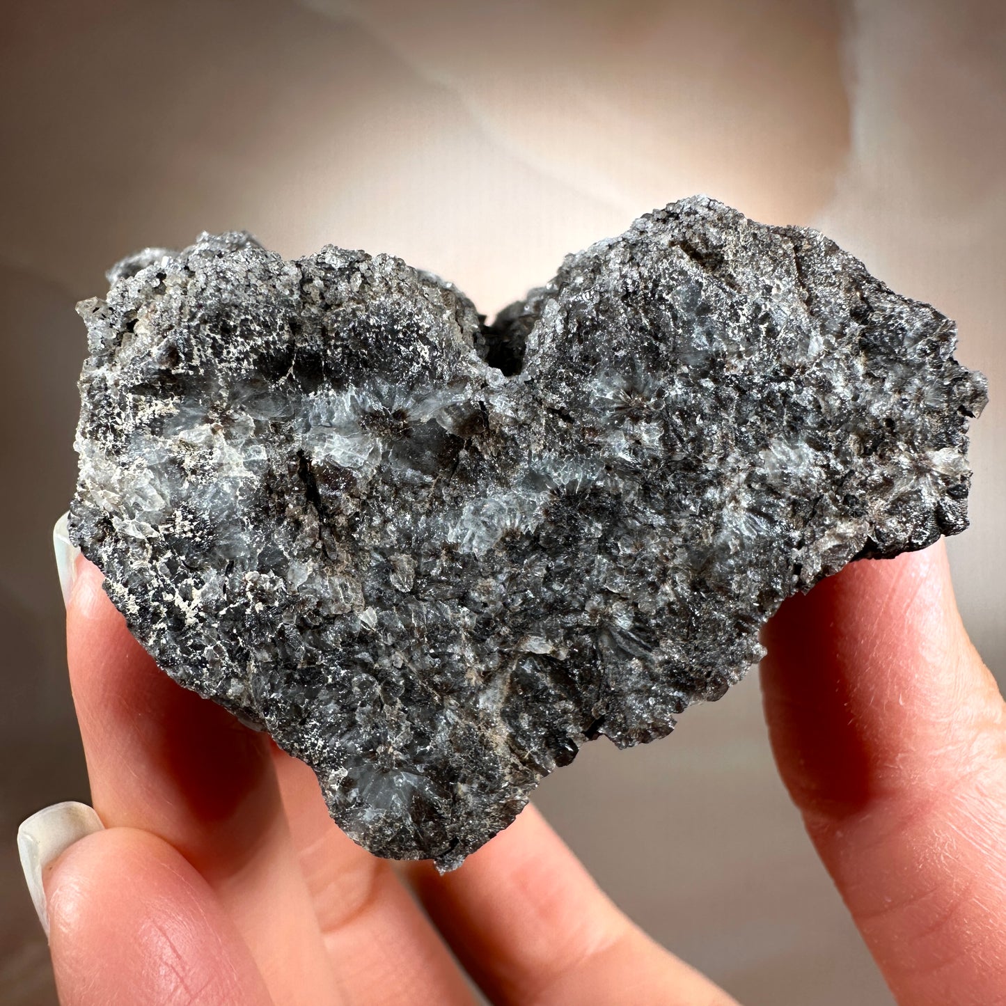 Crystallized Fossil Wood with Smoky Quartz Druzy, 185g | Arizona