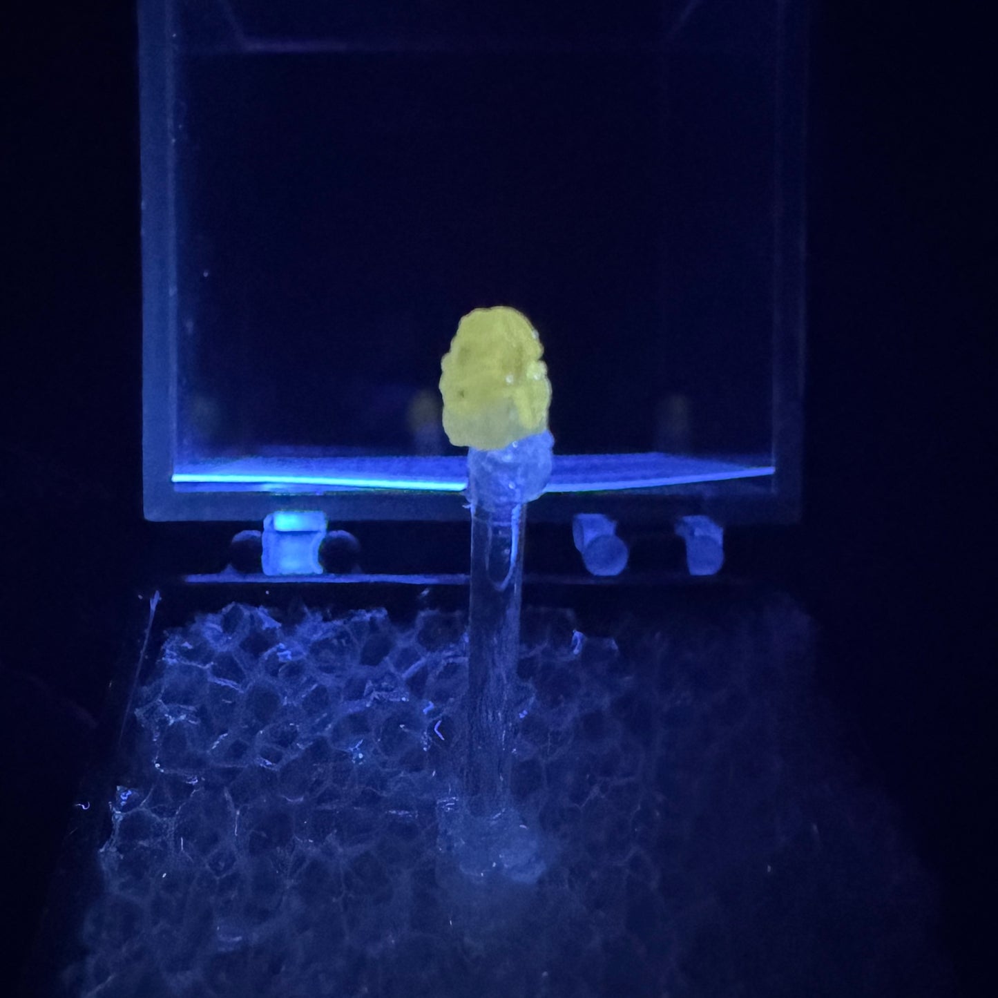 Popigai Crater Impact Diamond, Fluorescent | Arctic Siberia, Russia
