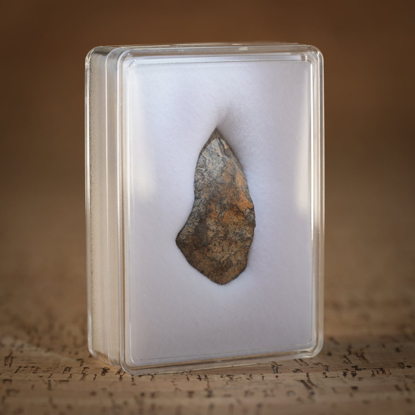 17.2g Gibeon Meteorite with Desert Patina, Namibia, Africa. Includes Collectors Display Box with COA.