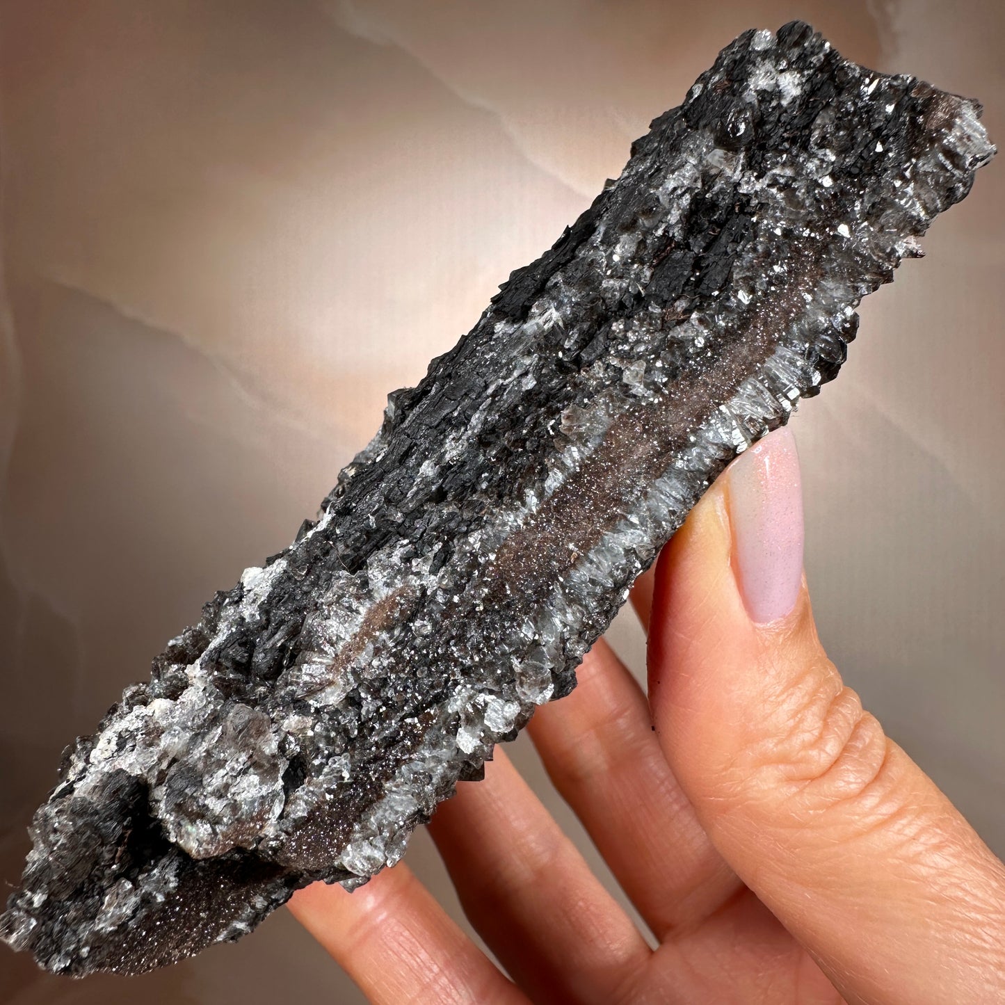 Crystallized Fossil Wood with Smoky Quartz Druzy, 268g — Arizona