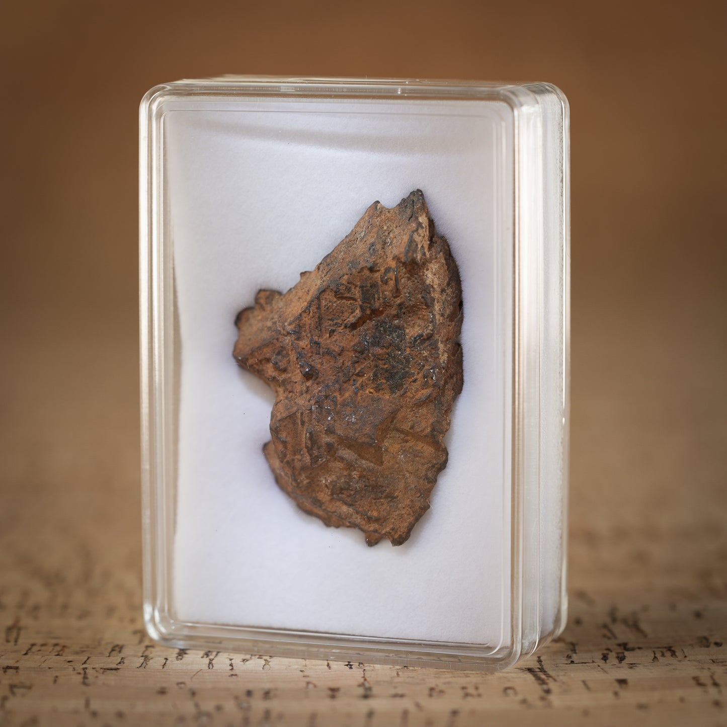 47g Gibeon Meteorite with Desert Patina, Namibia, Africa. Includes Collectors Display Box with COA.