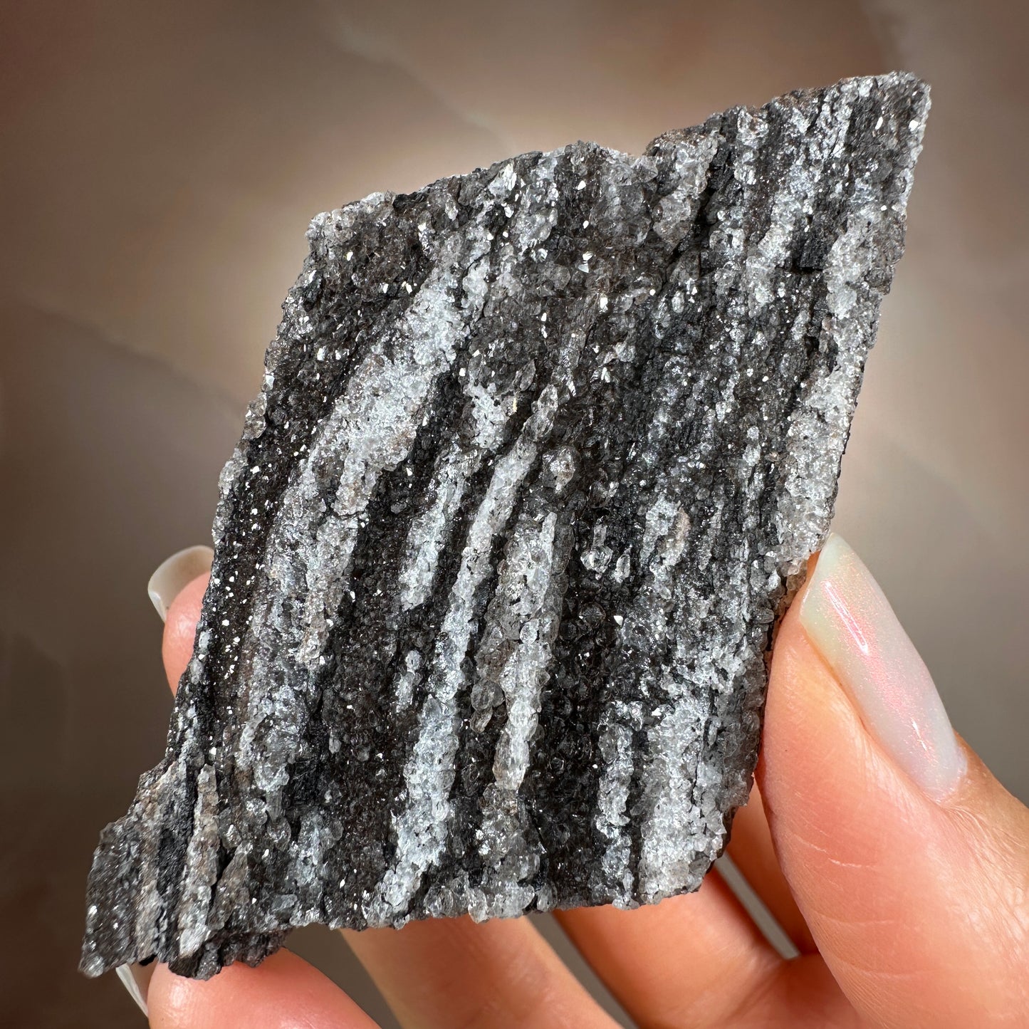 Crystallized Fossil Wood with Smoky Quartz Druzy, 85g | Arizona