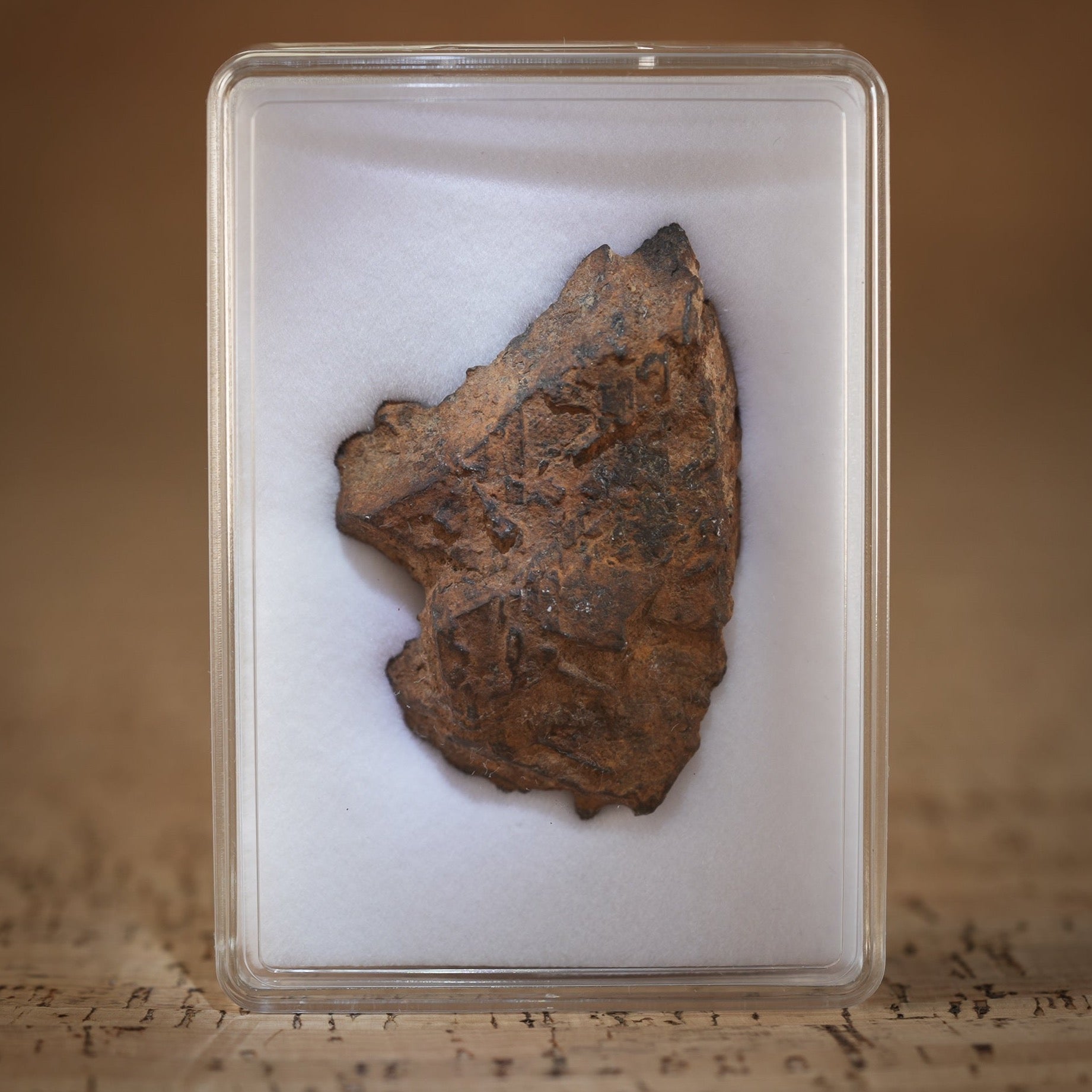 Gibeon Meteorite in collectors display box for sale.