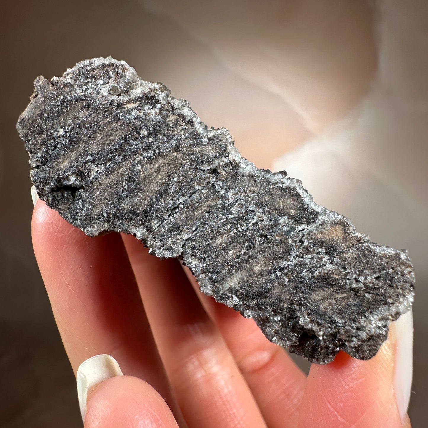 Crystallized Fossil Wood with Smoky Quartz Druzy, 86g | Arizona