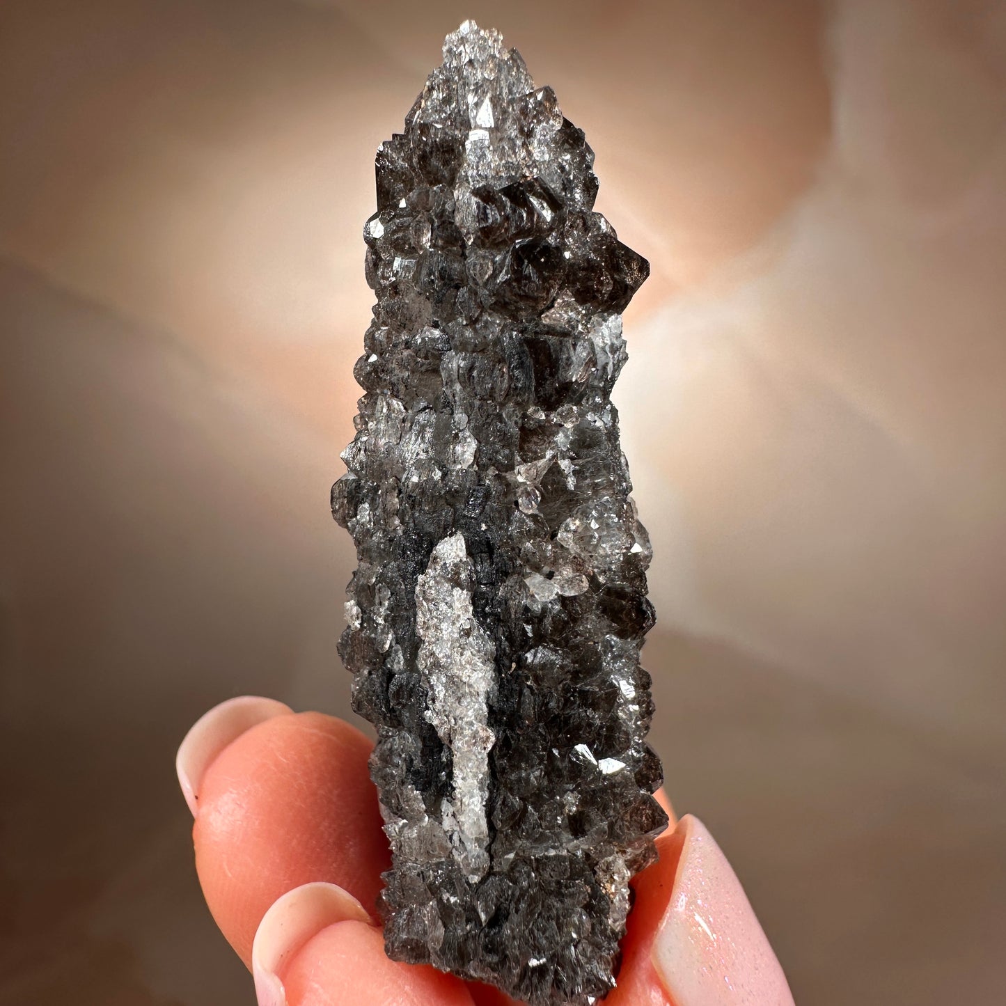 Crystallized Fossil Wood with Smoky Quartz Druzy, 18g — Arizona