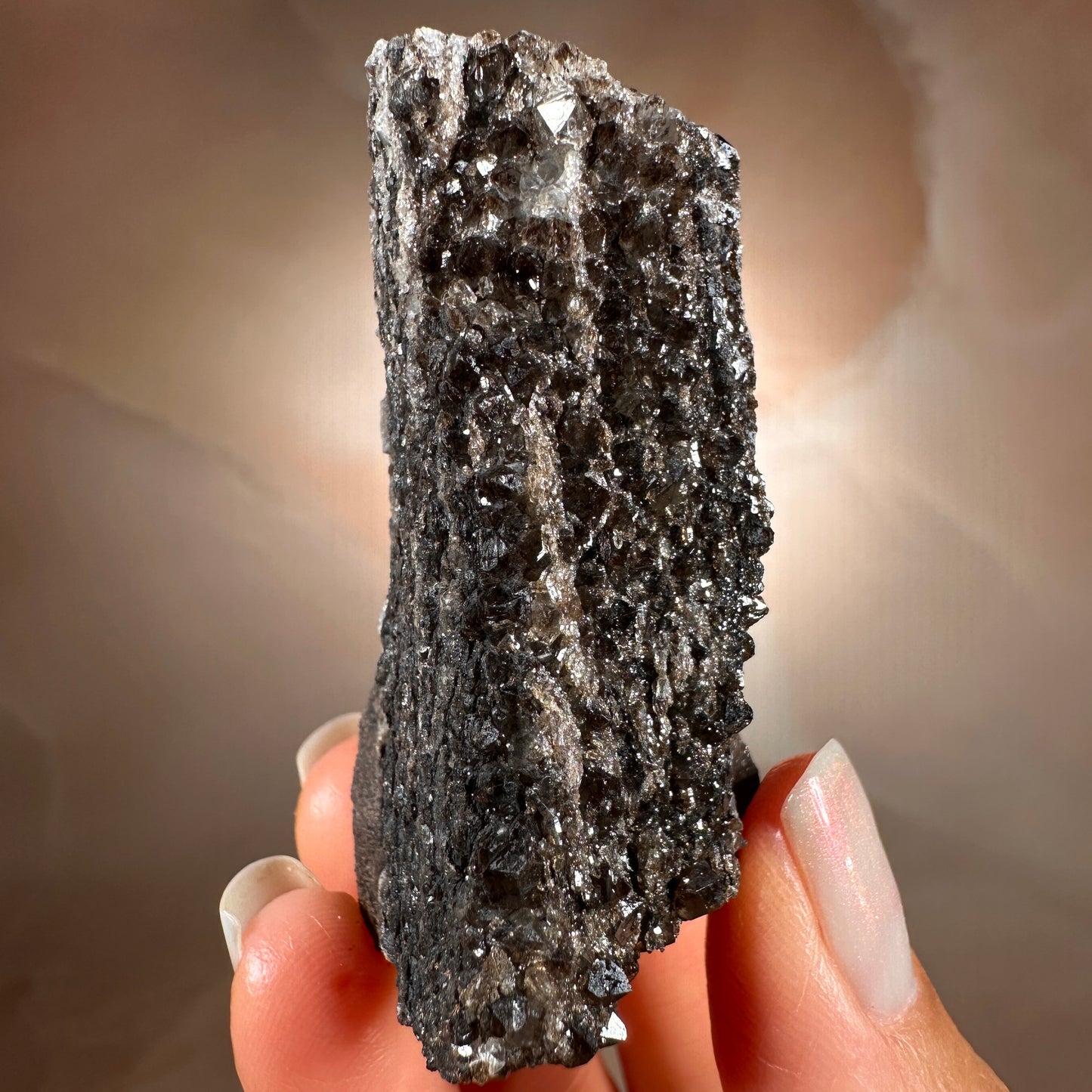 Crystallized Fossil Wood with Smoky Quartz Druzy, 58g | Arizona